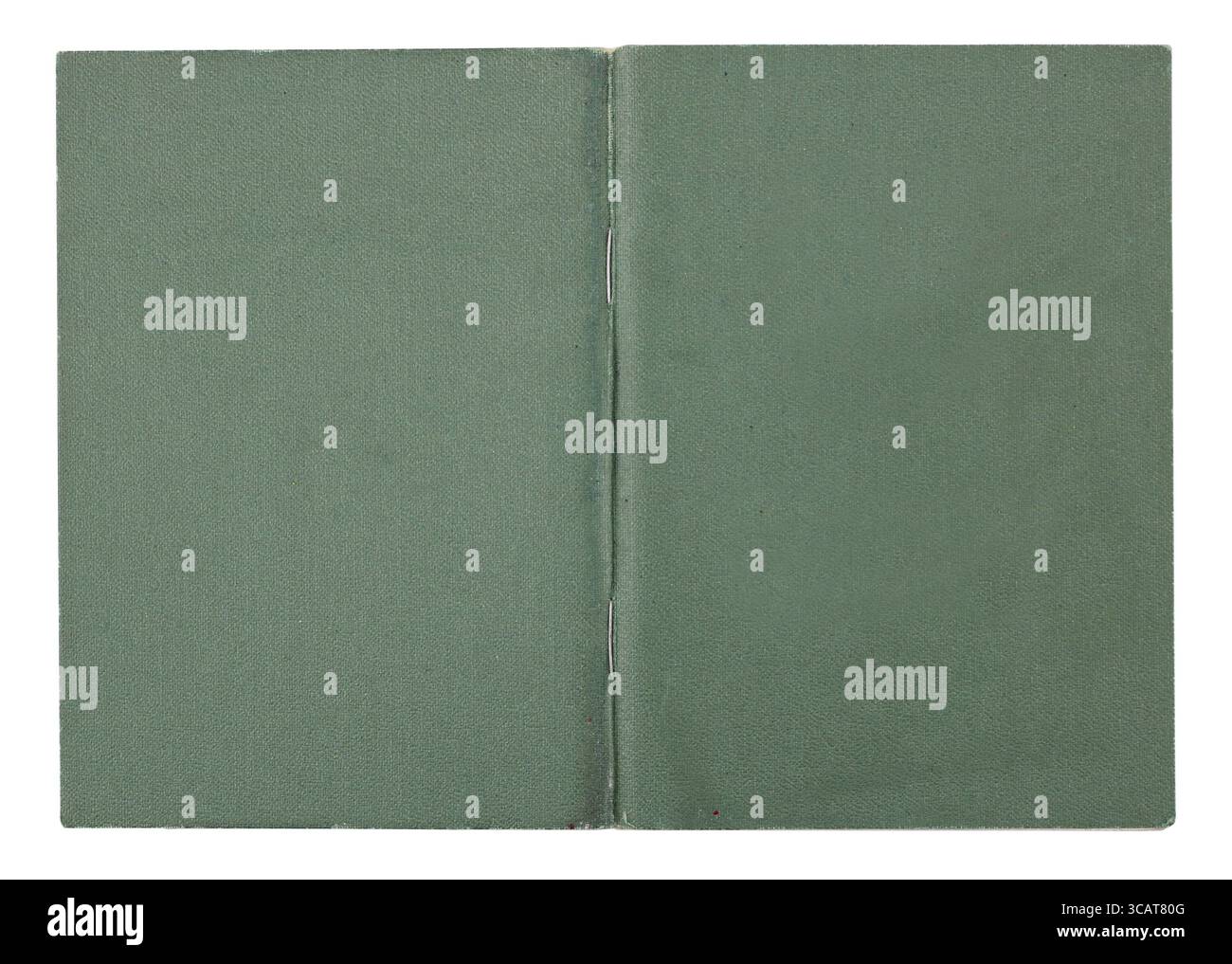 Diploma sull'istituto con stime errate copertura - similpelle verde. Isolato su bianco Foto Stock