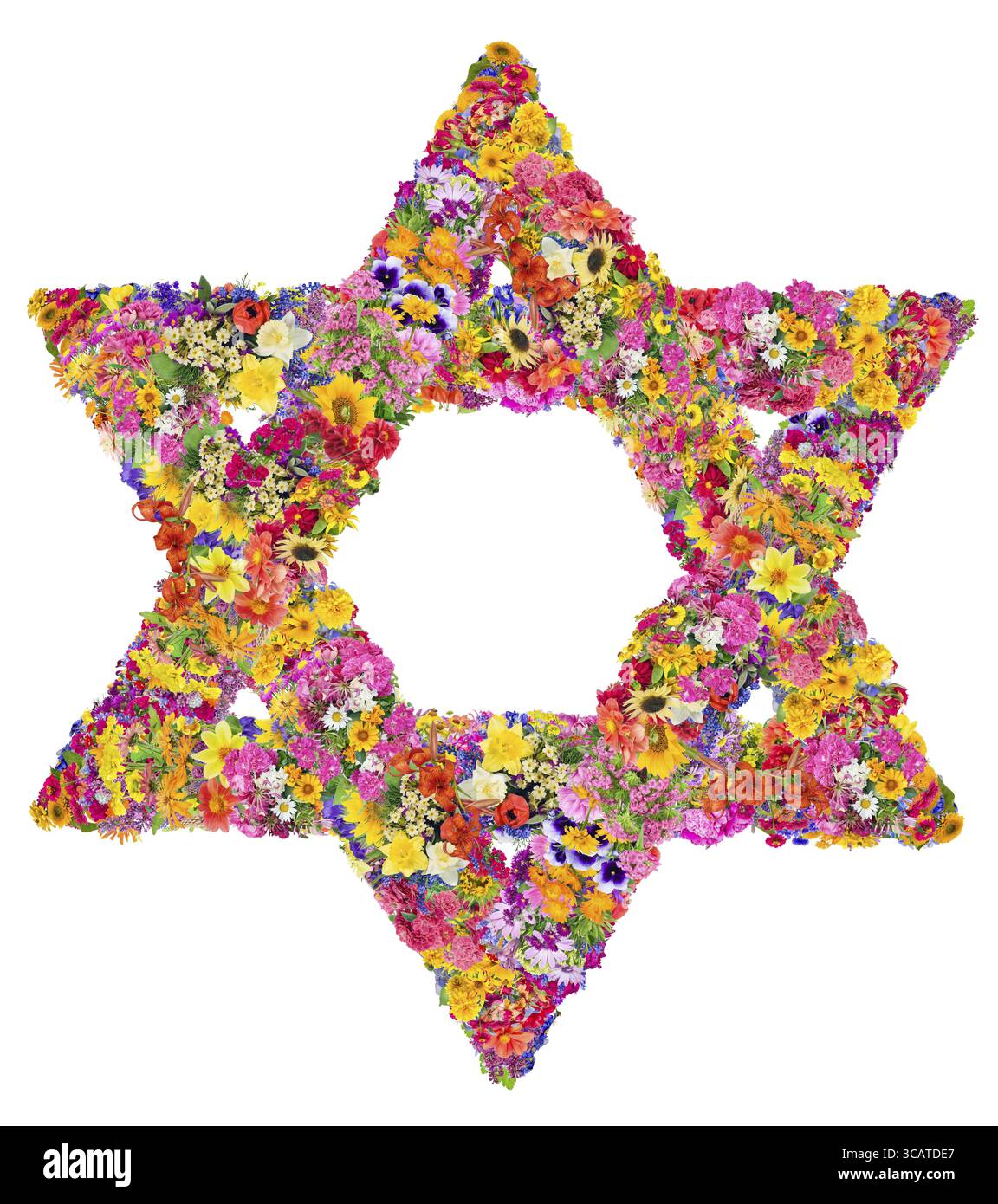 Il simbolo dell'Ebraismo - David star. L'insegna è fatta di fiori estivi brillanti. Collahe astratte isolate fatte a mano Foto Stock