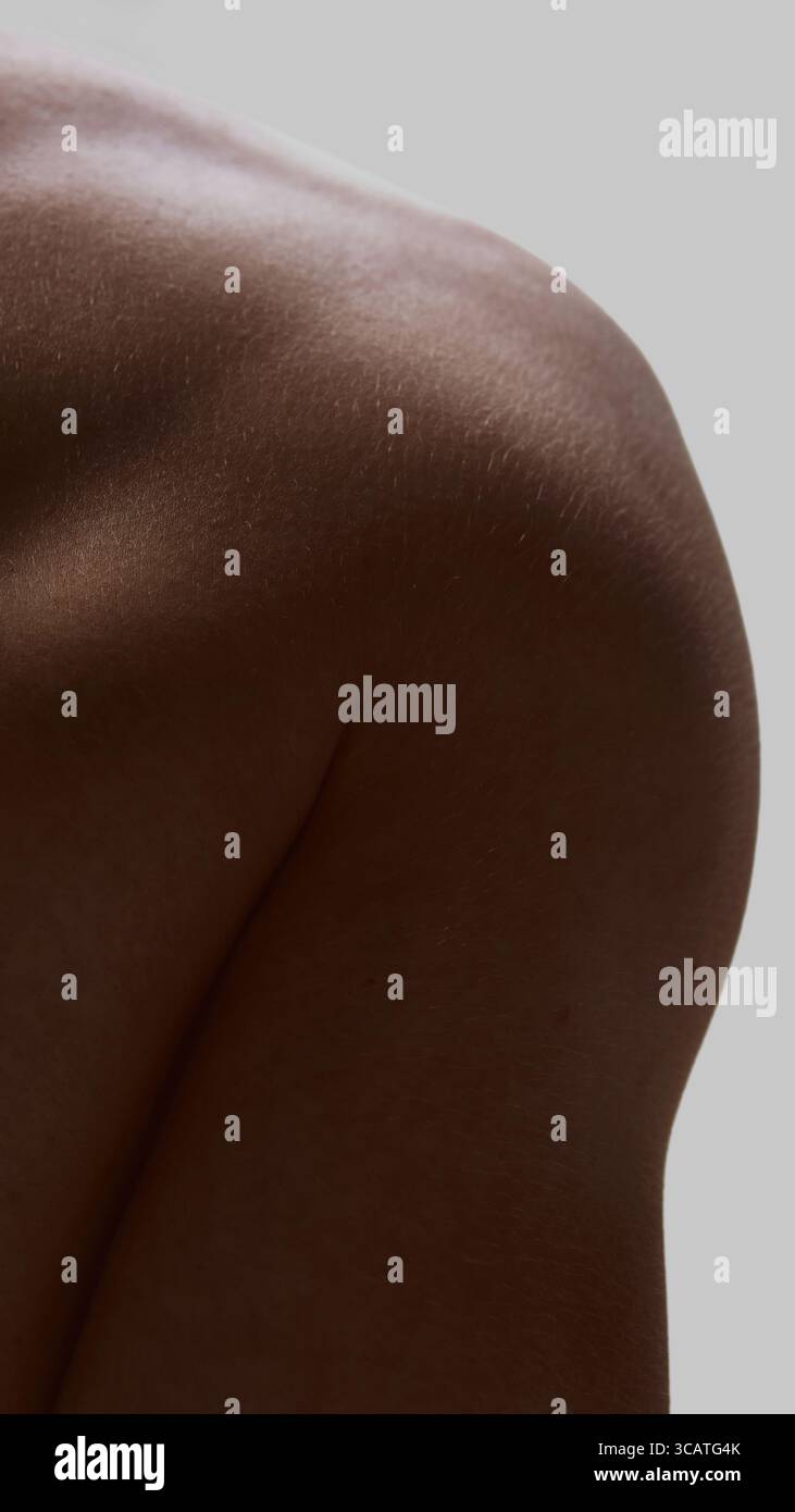 Primo piano della curvatura superiore della schiena con una trama sottile visibile Foto Stock