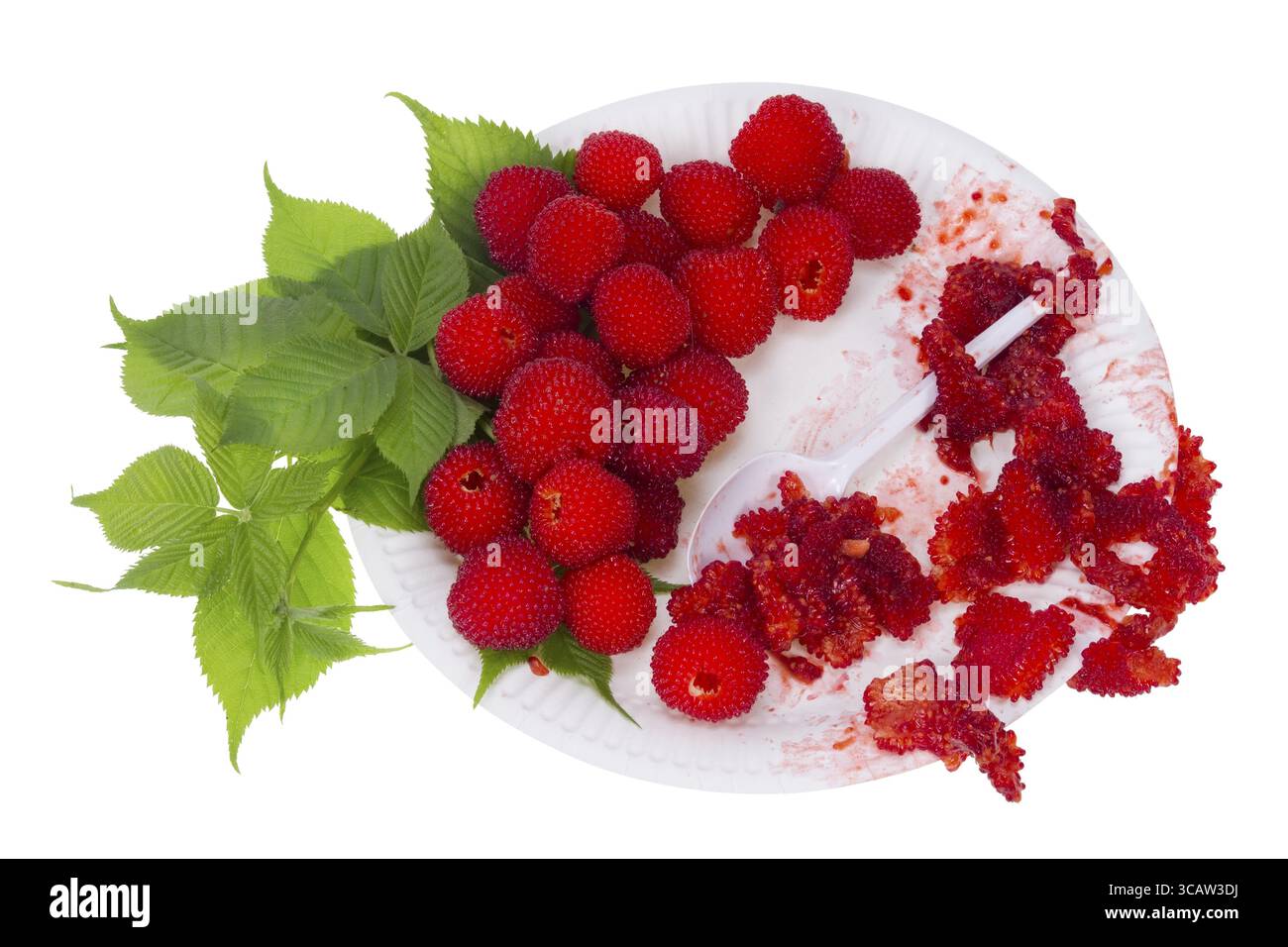 Vitamina utile prima colazione - bacche di colore rosso blackberry su una piastra bianca. Isolato Foto Stock