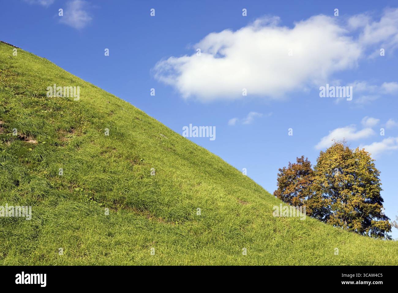 Autunno verde collina di erba e cielo blu reale natura paesaggio. Soleggiata giornata di ottobre Foto Stock
