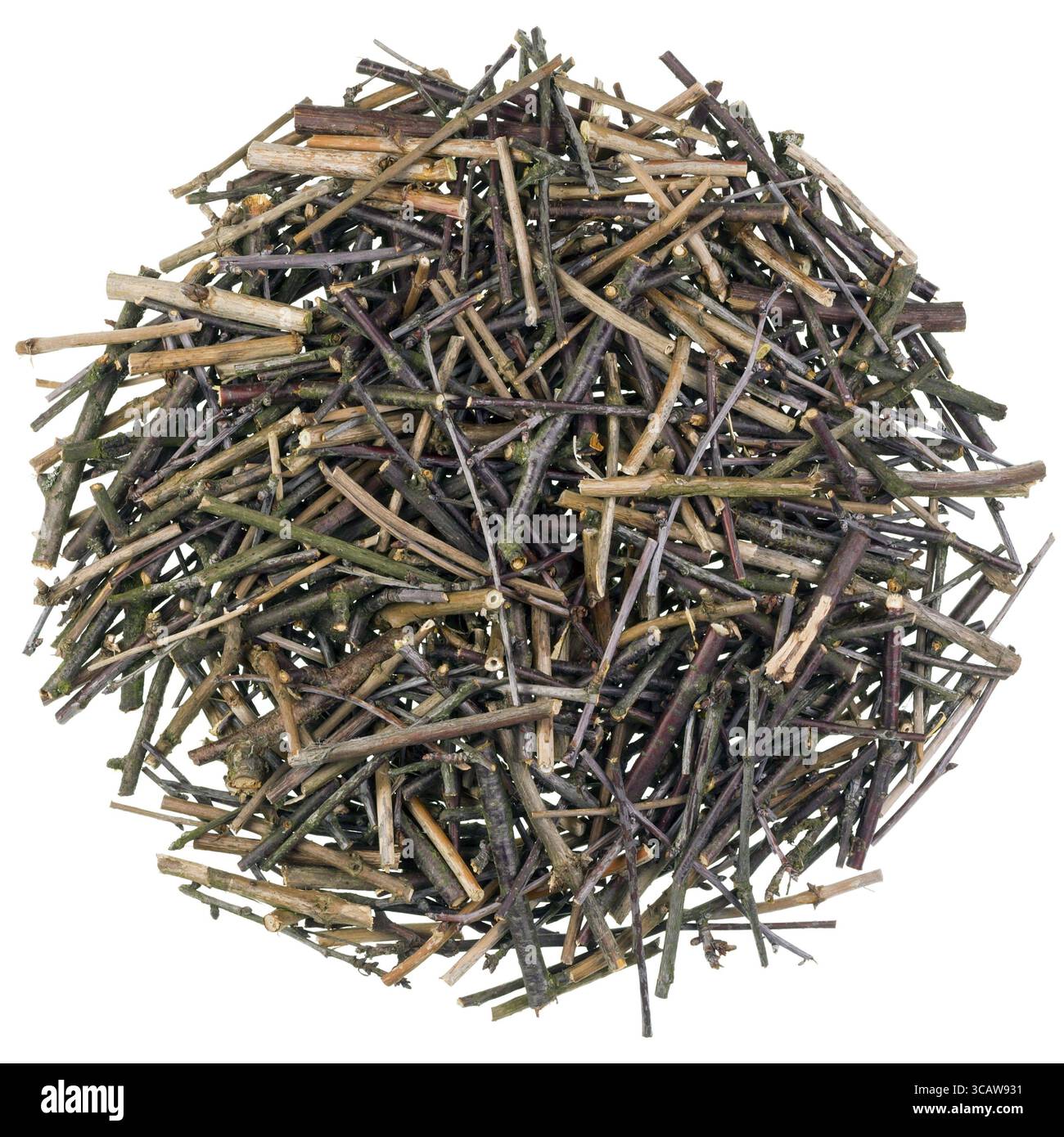 Uno è volato oltre il cuculo nido del concetto. Cerchio isolato da alberi e cespugli ramoscelli e le succursali Foto Stock