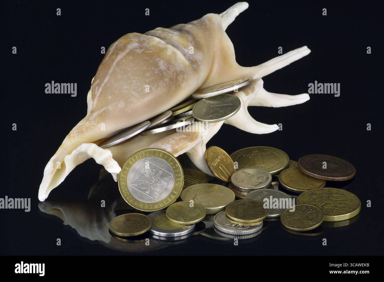 Monete di vari valori facciali e i paesi ottengono abbastanza sonno da una ciotola di mare. Viene eseguito su uno sfondo nero Foto Stock