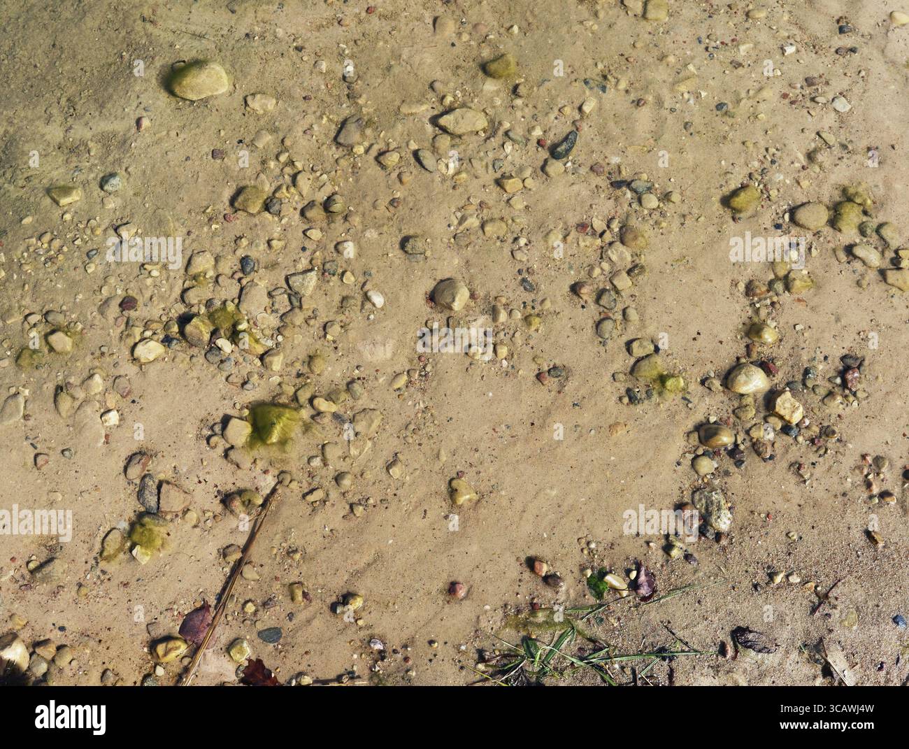 Uno strato di acqua pulita sopra il fondo sabbioso del freddo lago lituano. Vista dall'alto dello sfondo naturale Foto Stock