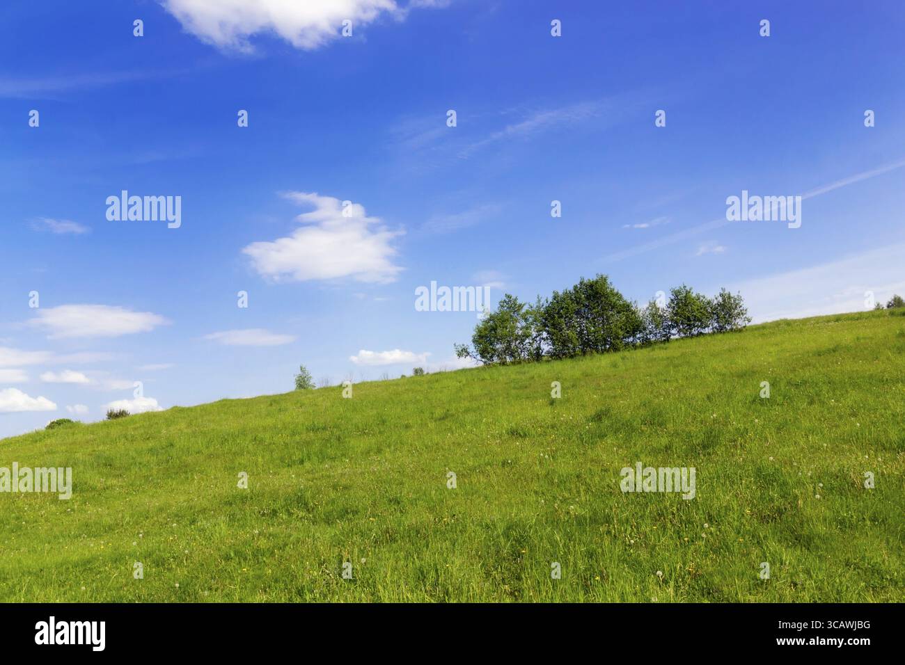 Il lato sinistro della molla verde collina di erba e cielo ciano Foto Stock
