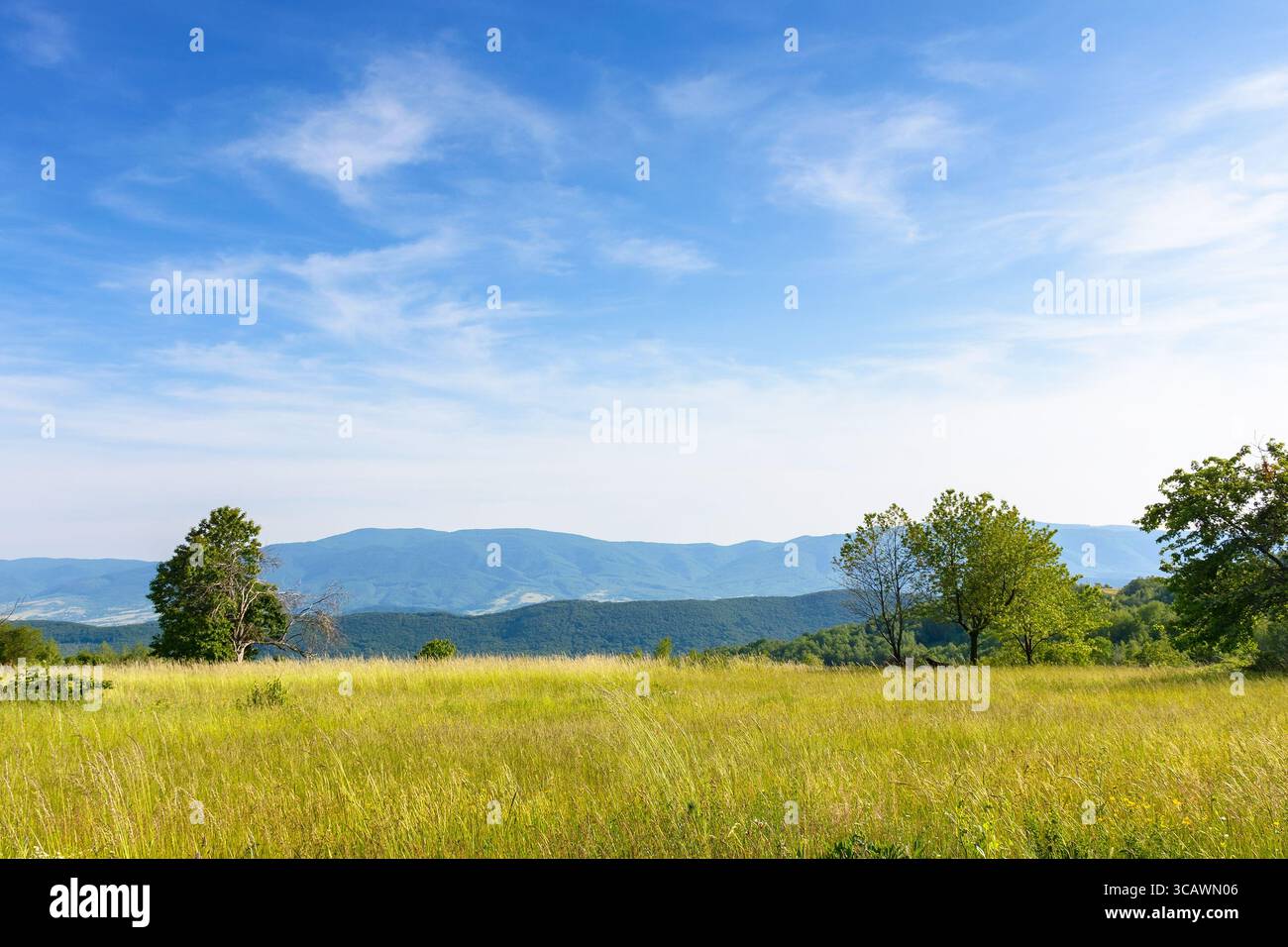 paesaggio estivo serale con prato in montagna. scenario di campagna di transcarpathia, ucraina con vista panoramica di un lontano crinale in delizioso Foto Stock