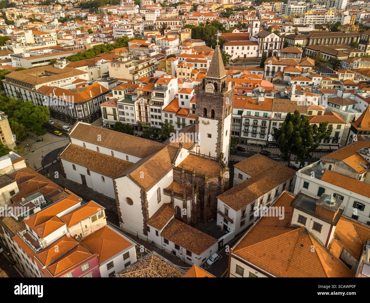 La Cattedrale di Funchal è una chiesa in stile gotico del XVI secolo a Madeira, conosciuta per il suo splendido soffitto in legno e l'architettura storica. Foto Stock
