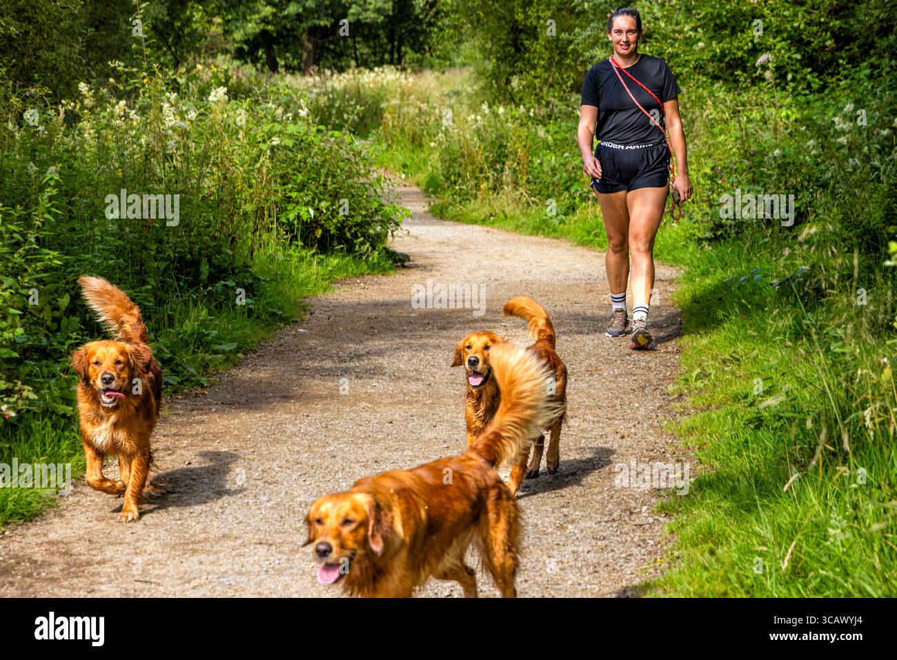 Ragazza che cammina con i cani nel paesaggio rurale, Cod Beck Resevoir, Osmothersley, North York Moors National Park, North Yorkshire, Inghilterra, Regno Unito Foto Stock