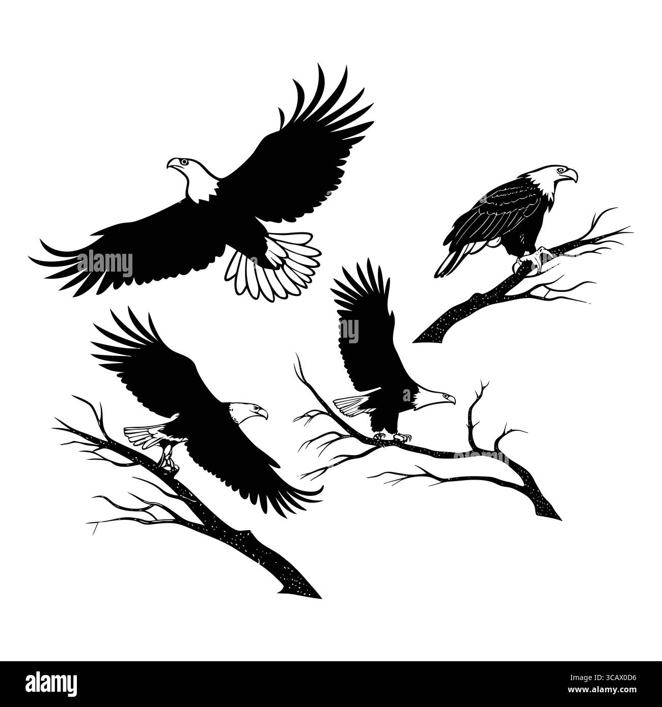 Serie di sagome di aquila di pesce africana e aquila calva arroccate e in Flight Over Branches Illustrazione Vettoriale