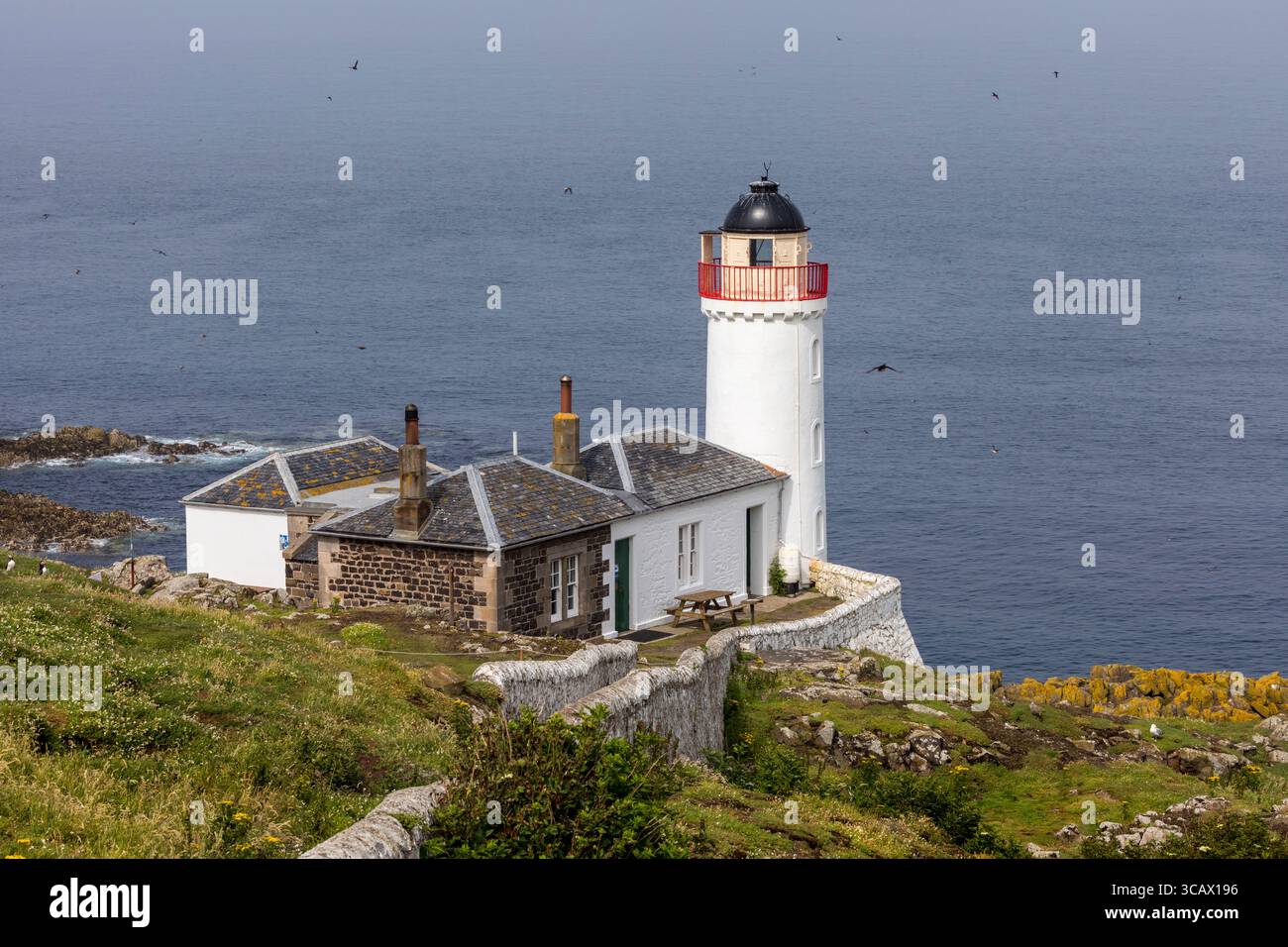 Isola di maggio; faro; Scozia; Regno Unito Foto Stock