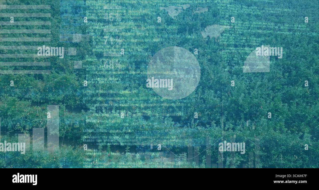 Tettoia verde fitta che si fonde in vista aerea, con grafici a barre, grafici a linee, flussi binari Foto Stock
