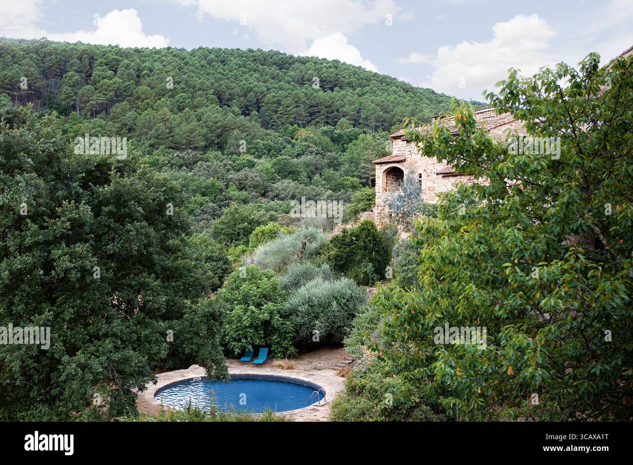 Casa di pietra nel bosco Foto Stock