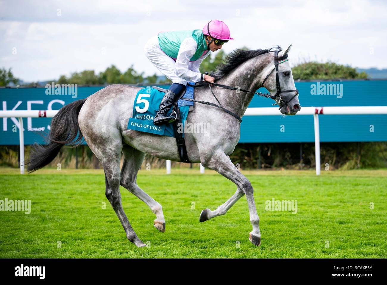 Incontro del Qatar Goodwood Festival 2025 al Goodwood Racecourse, Chichester - Jockey William Buick sul Field of Gold Day 2 mercoledì 30 luglio 2025 Foto Stock