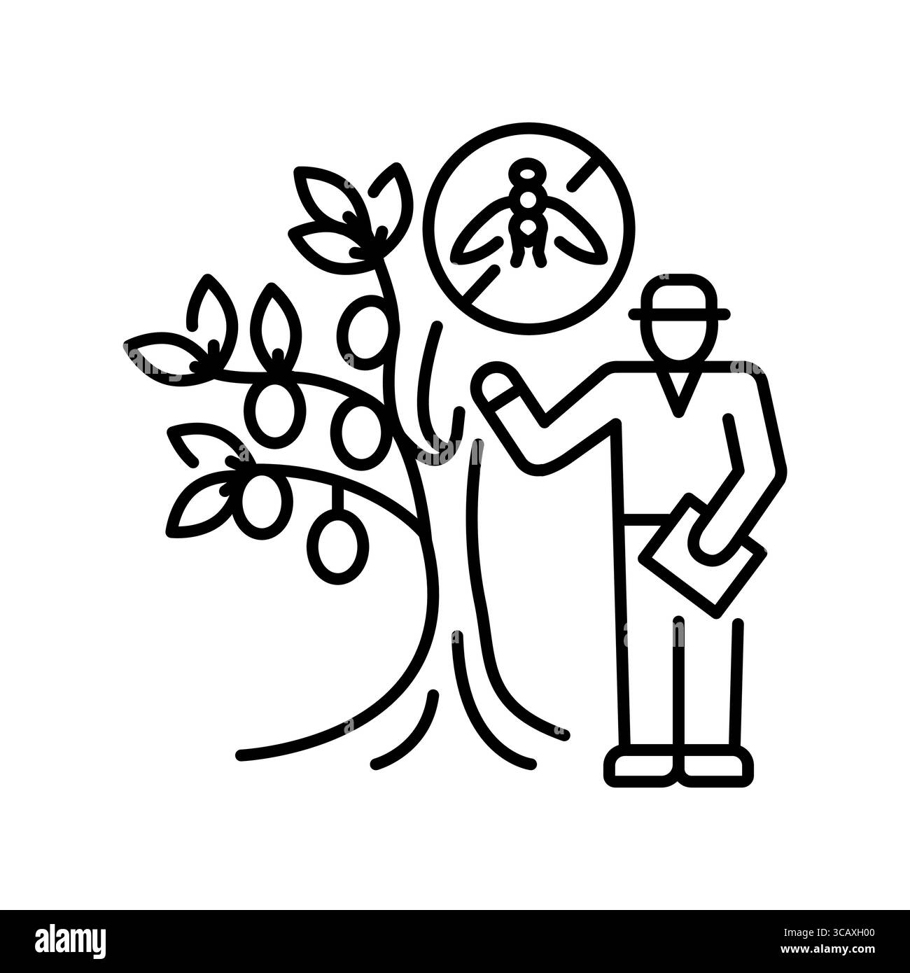 icona della linea nera di controllo dell'organismo nocivo per le olive. Elemento isolato vettoriale. Traccia modificabile. Illustrazione Vettoriale