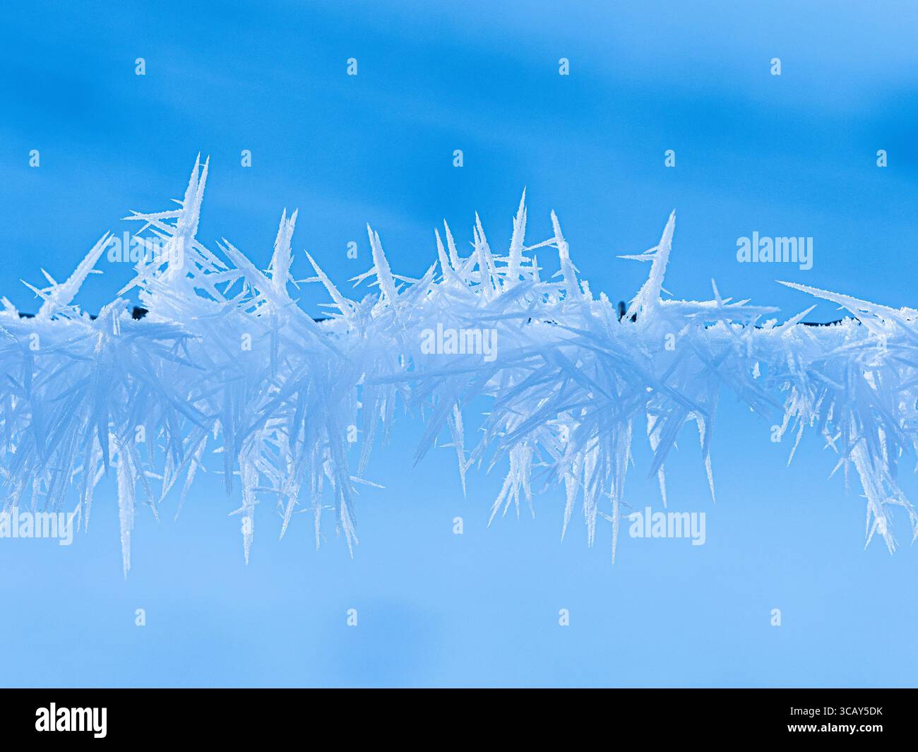 Primo piano di cristalli di gelo acuti che si formano su un filo contro un cielo invernale blu limpido in Svizzera Foto Stock