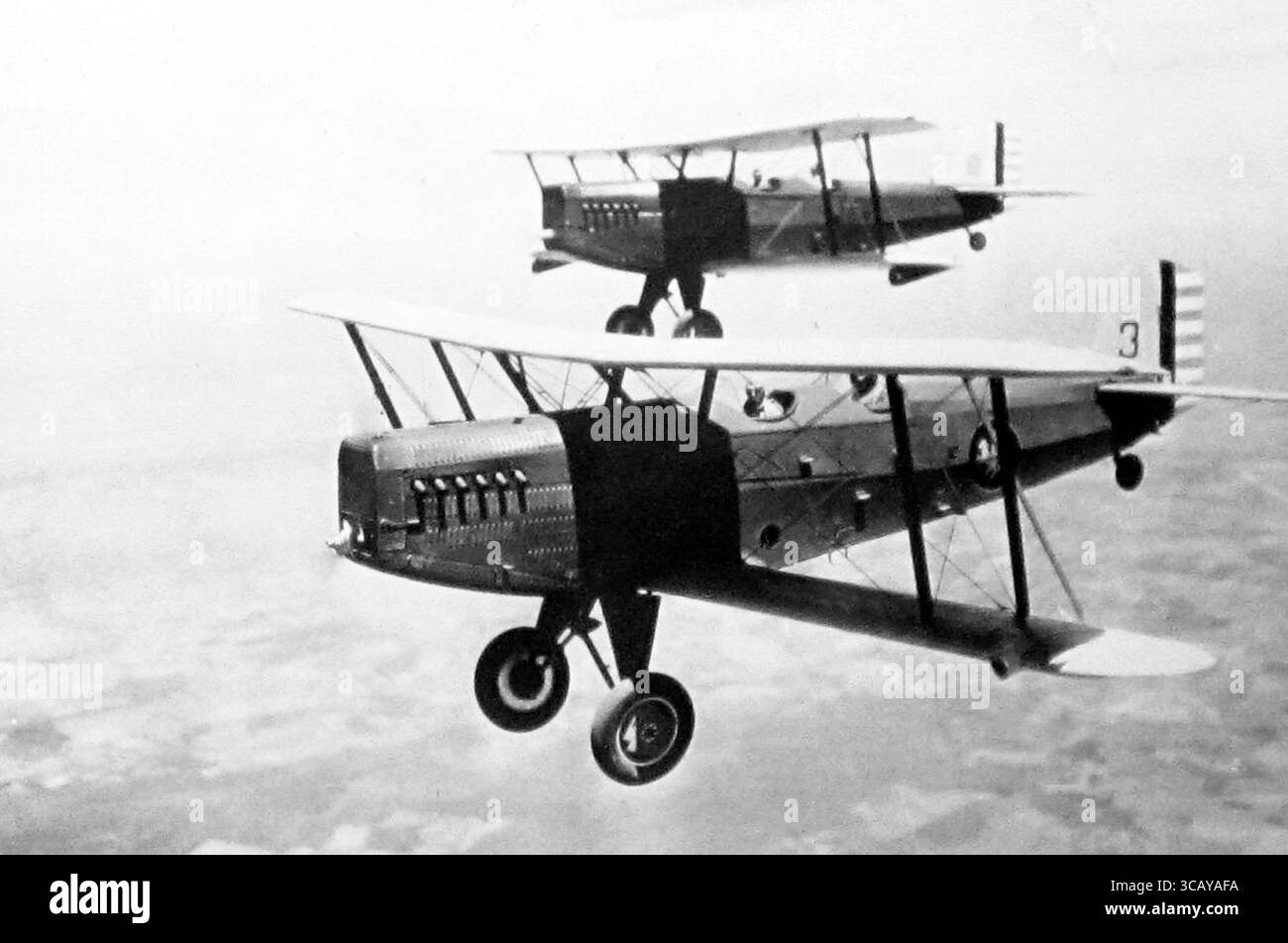 Biplani della Dallin Arial Survey Company, probabilmente anni '1930 Foto Stock