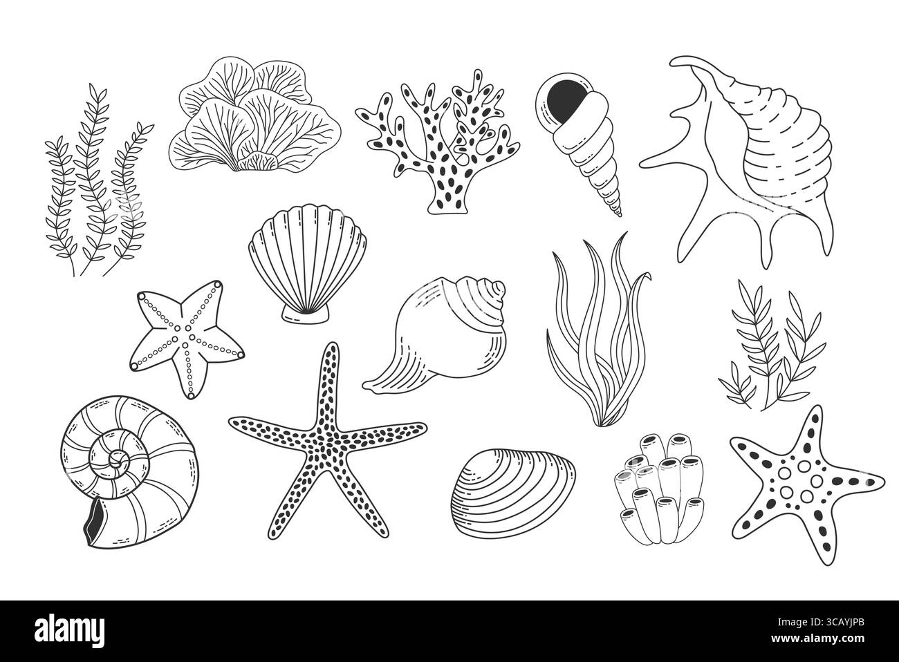 Conchiglie, piante marine e stelle marine isolate su sfondo bianco. Illustrazione del vettore della barriera corallina. Collezione di icone lineari di molluschi di vongole. Ocean Life Outl Illustrazione Vettoriale
