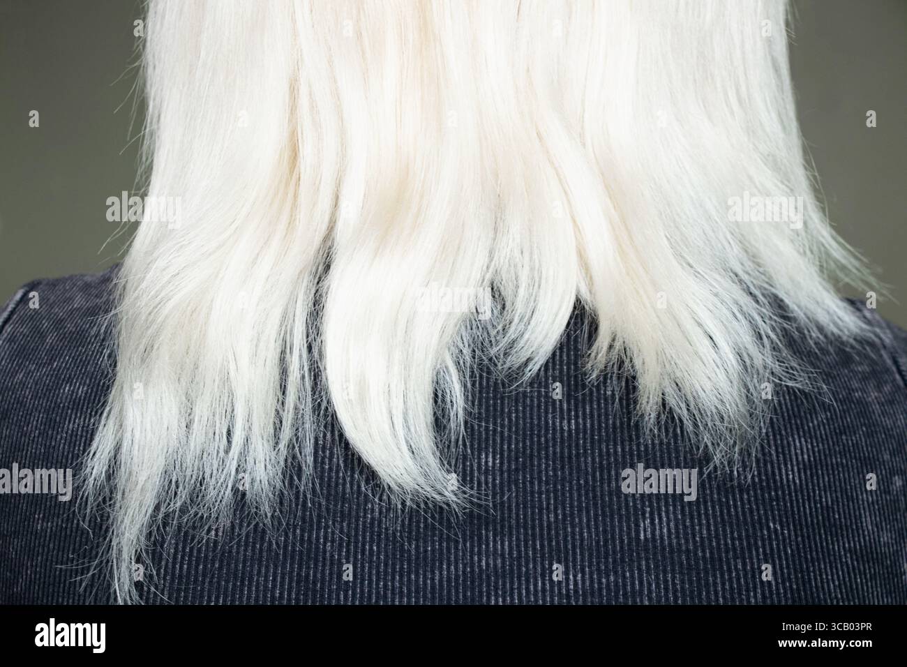 Capelli biondi secchi danneggiati di una ragazza da dietro, estremità fragili dopo la tintura, la cura e il trattamento dei capelli, concetto di struttura danneggiata Foto Stock