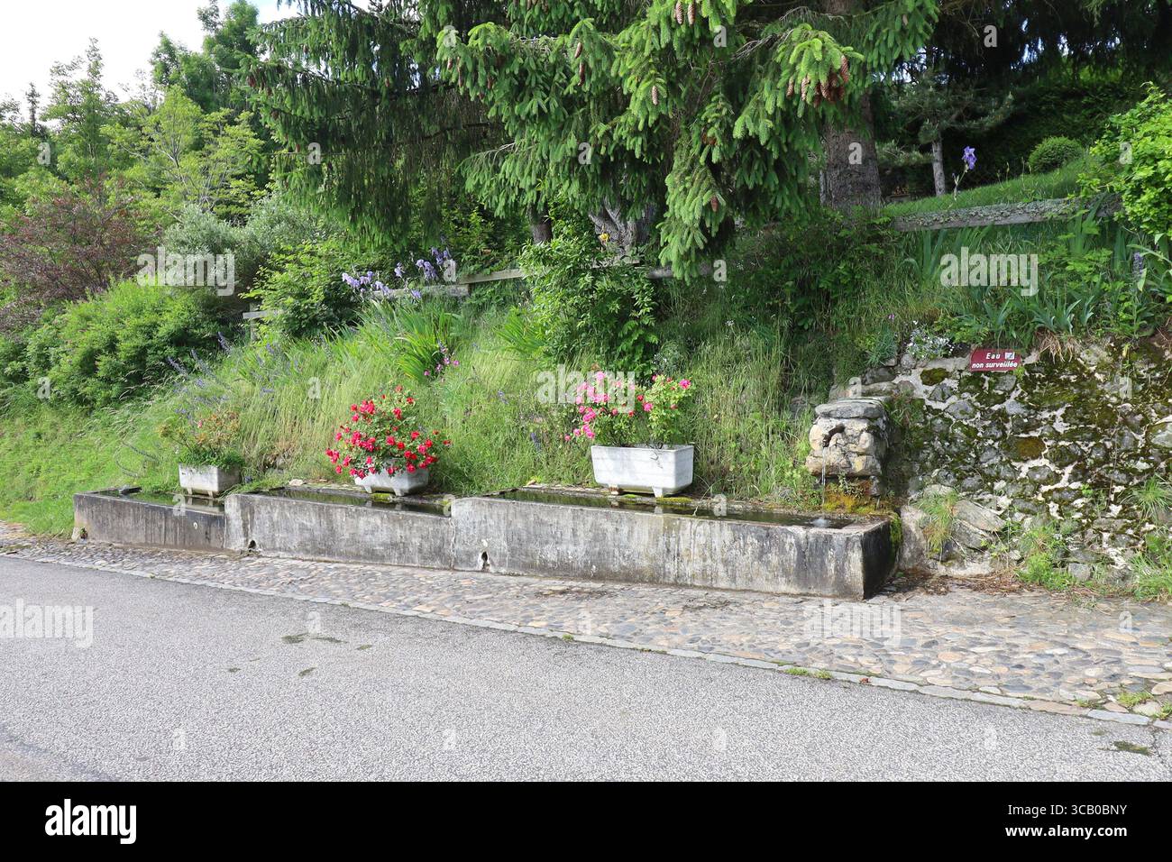 Vecchia fontana, villaggio di Arlempdes, dipartimento dell'alta Loira, Francia Foto Stock