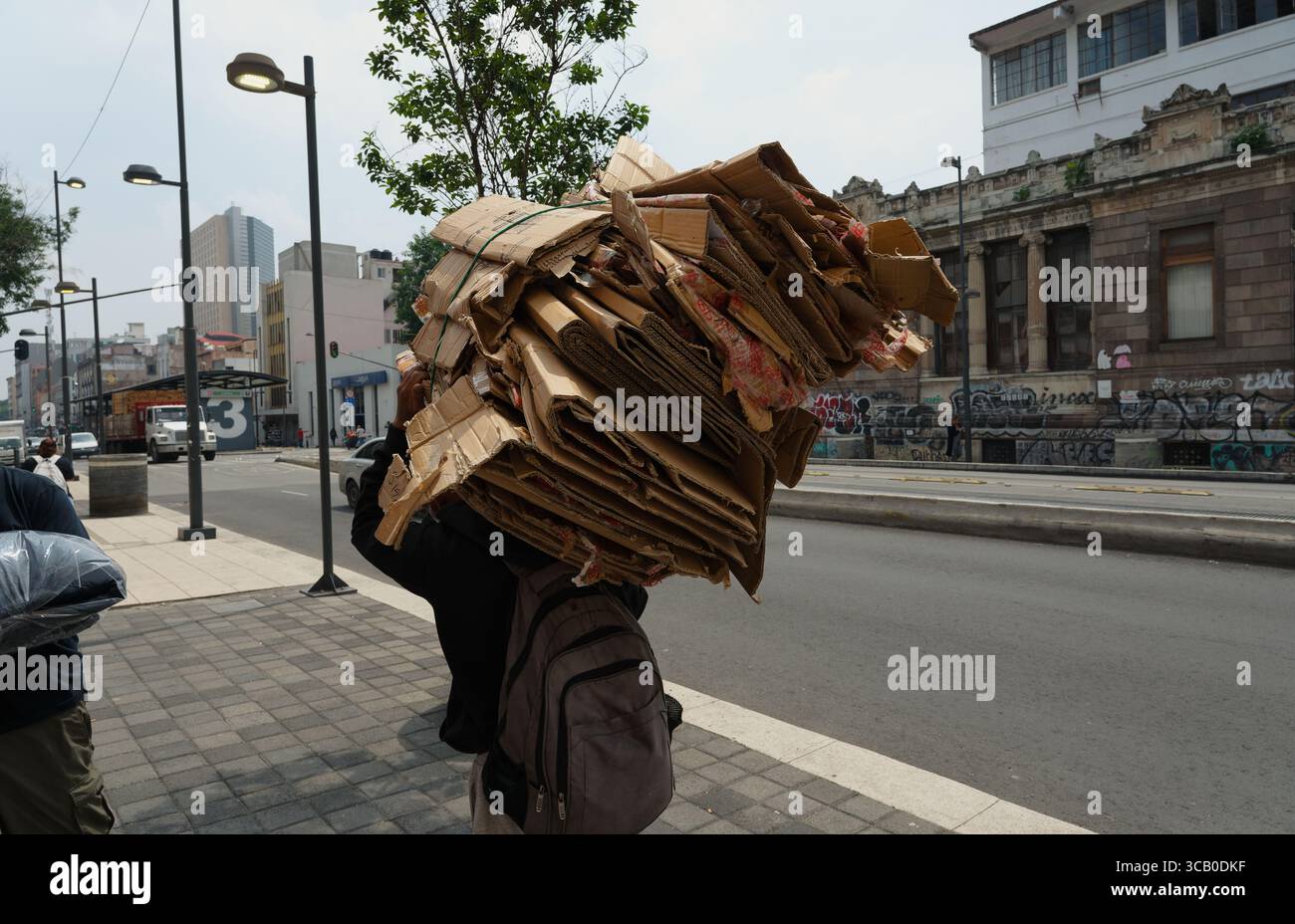 Lavoratore che porta un'imponente pila di cartone appiattito sulla schiena a Colonia Centro, città del Messico Foto Stock