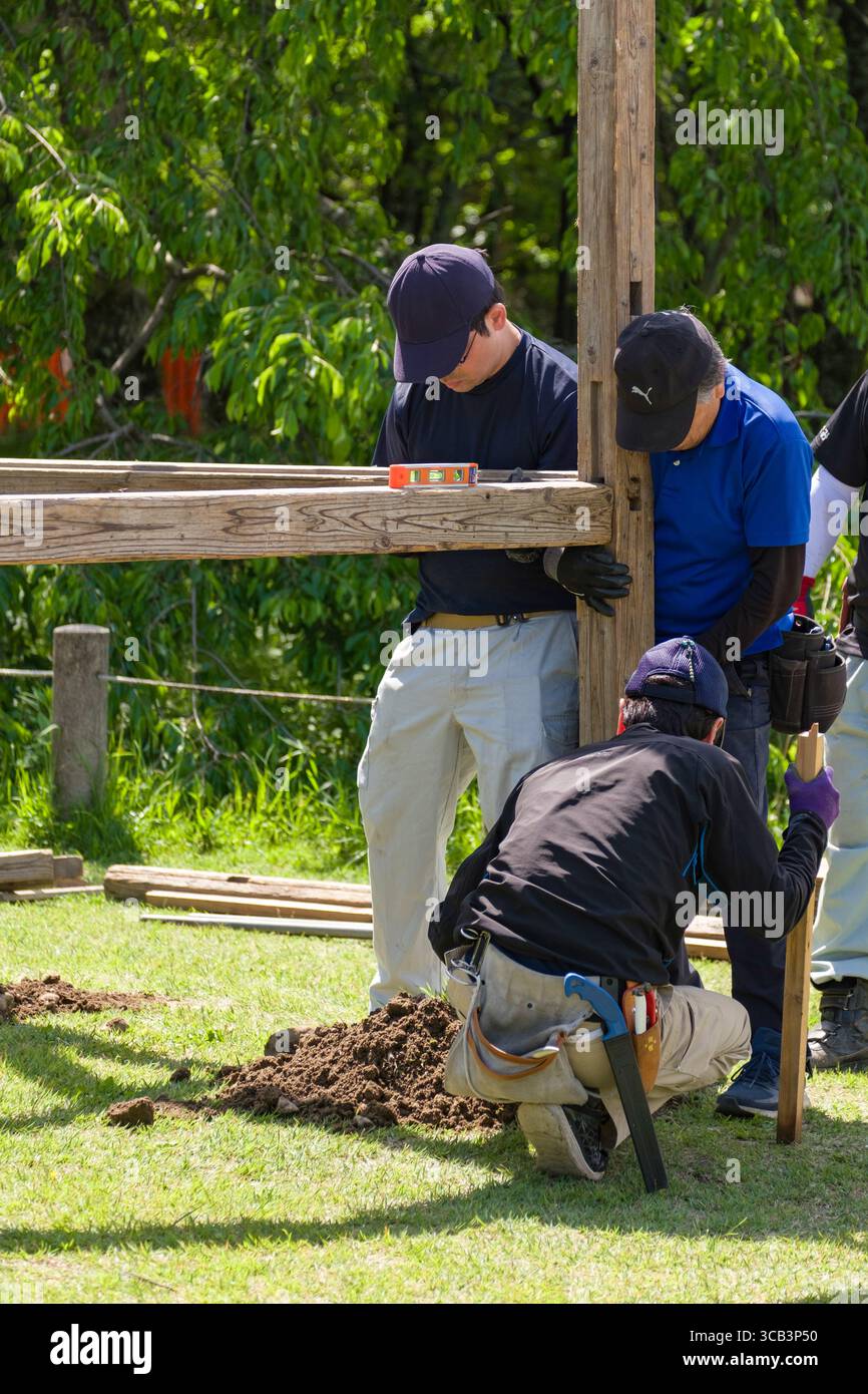 Un gruppo di lavoratori collabora a un progetto di costruzione all'aperto allineando travi in legno. Santuario di Kamigamo, Kyoto, Giappone Foto Stock