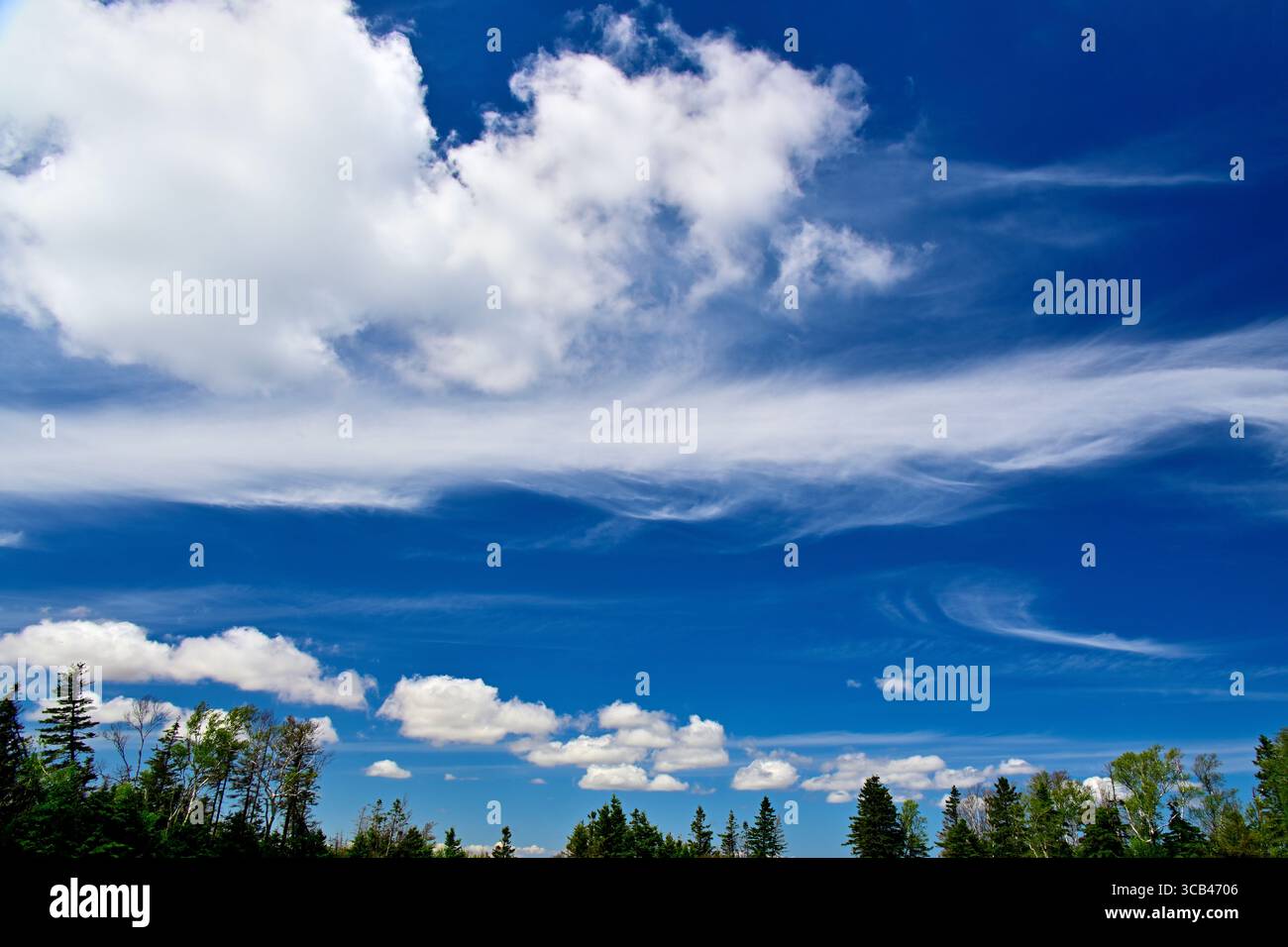 Splendide nuvole su un cielo blu sopra il parco provinciale di Belmont sull'Isola del Principe Edoardo in Canada. Foto Stock