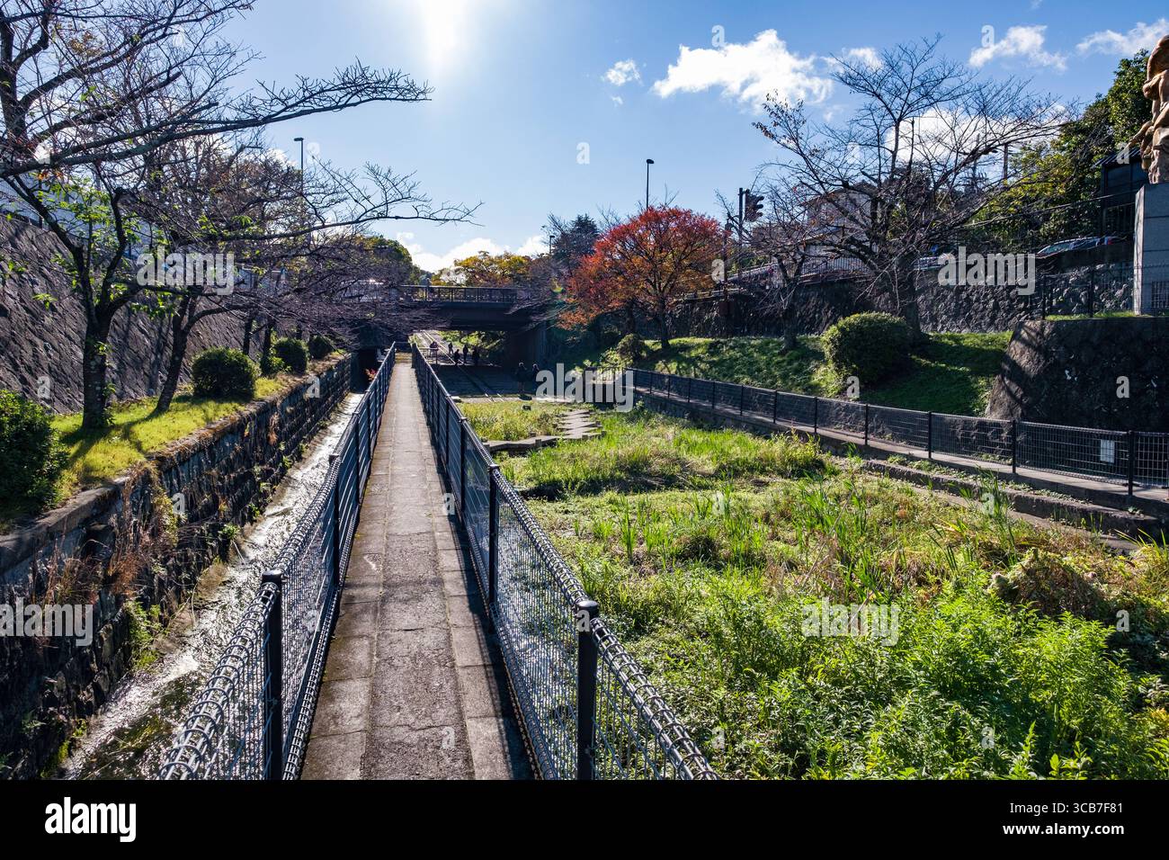Parco tranquillo con passerella pavimentata, delimitato da erba verde vibrante, alberi e un piccolo ruscello. Keage Incline, Kyoto, Giappone Foto Stock