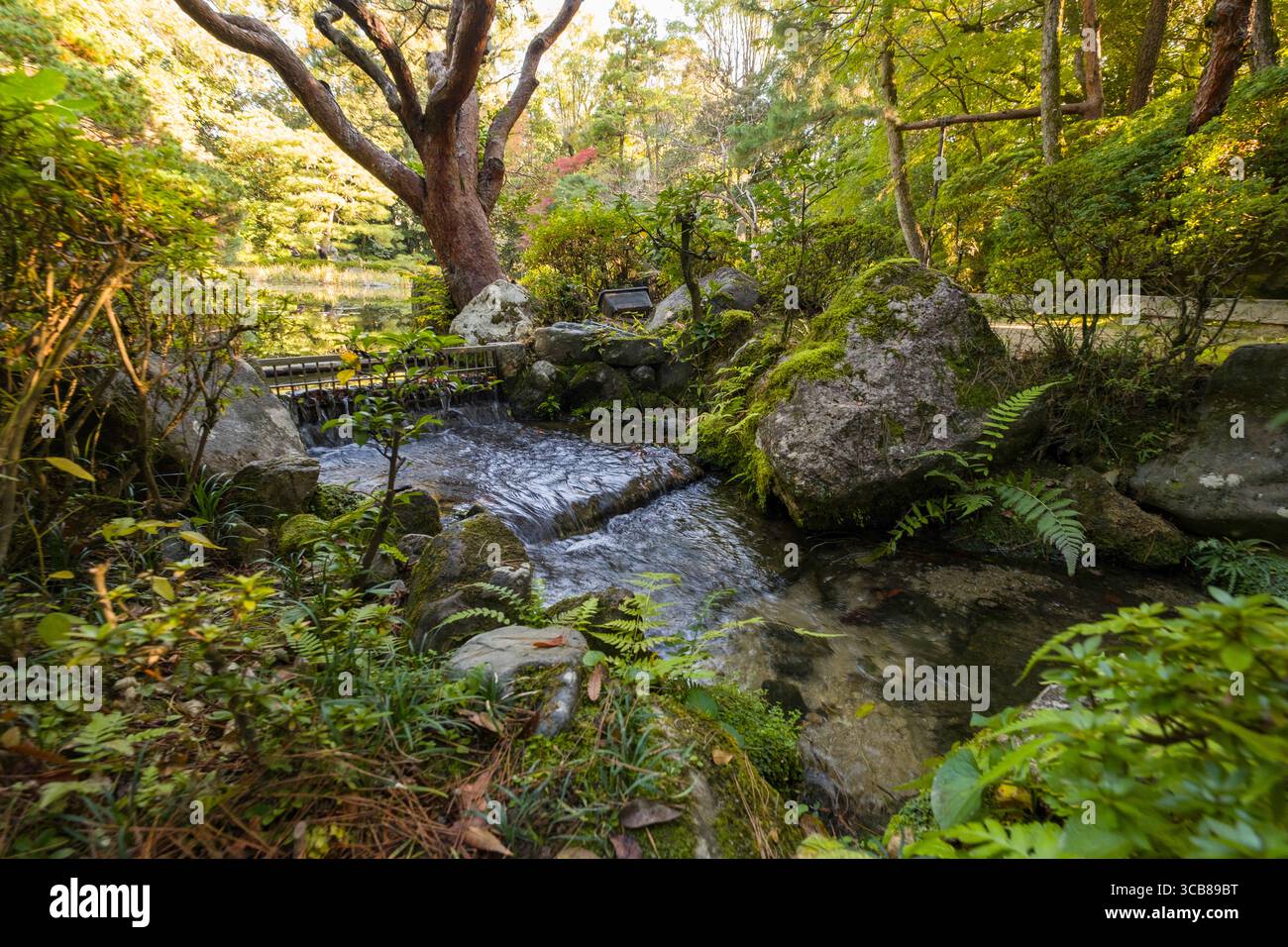 Il torrente Heian Shrine Garden scorre attraverso un vibrante giardino giapponese, enfatizzando le sue rocce coperte di muschio, Kyoto, Giappone Foto Stock