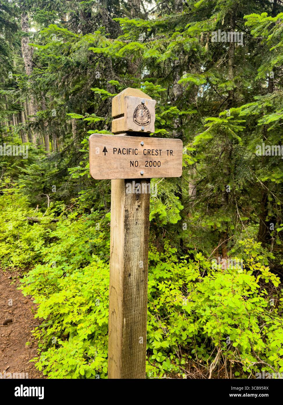 Punto guida indicante il Pacific Crest Trail, Timberline Trail, Mount Hood, Mount Hood National Forest, Clackamas County, Oregon, USA Foto Stock