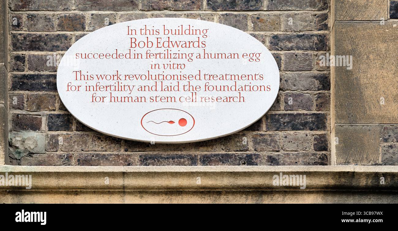 Bob Edwards fertilizzò un uovo umano in vitro presso il Physiology Building, Downing site, Università di Cambridge, Inghilterra. Foto Stock