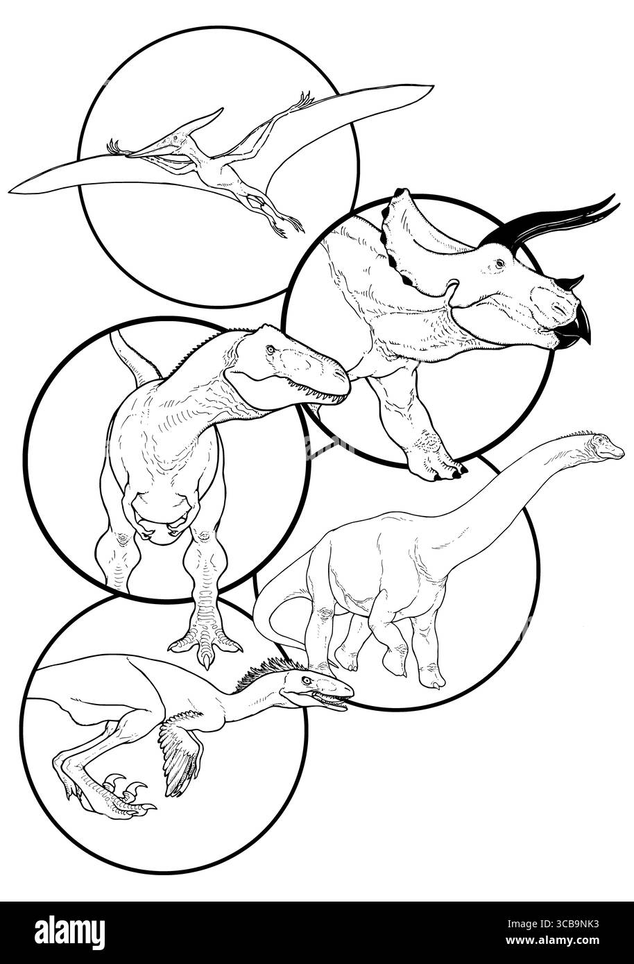 Pagina di colorazione del collage di dinosauri Foto Stock