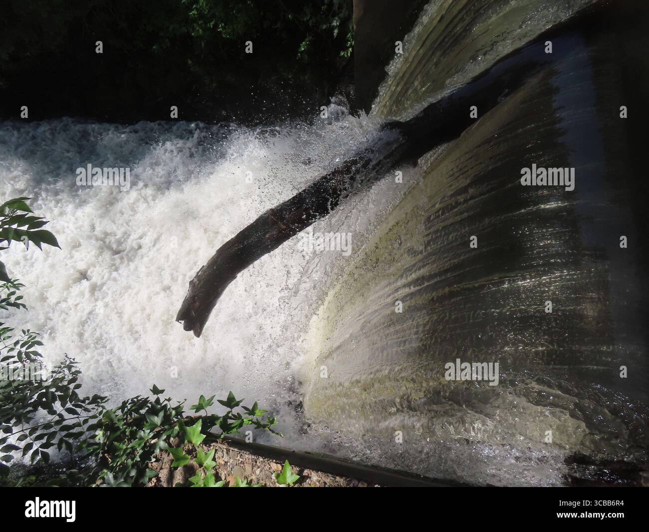 ein AST Hat sich im Schuetzenwehr verfangen und laesst das Sturzwasser wie Wild schaeumen Wassersturz mit AST im Stadtpark *** Un ramo viene catturato nella diga e fa schiudere l'acqua piovana come una cascata selvaggia con un ramo nel parco cittadino Foto Stock