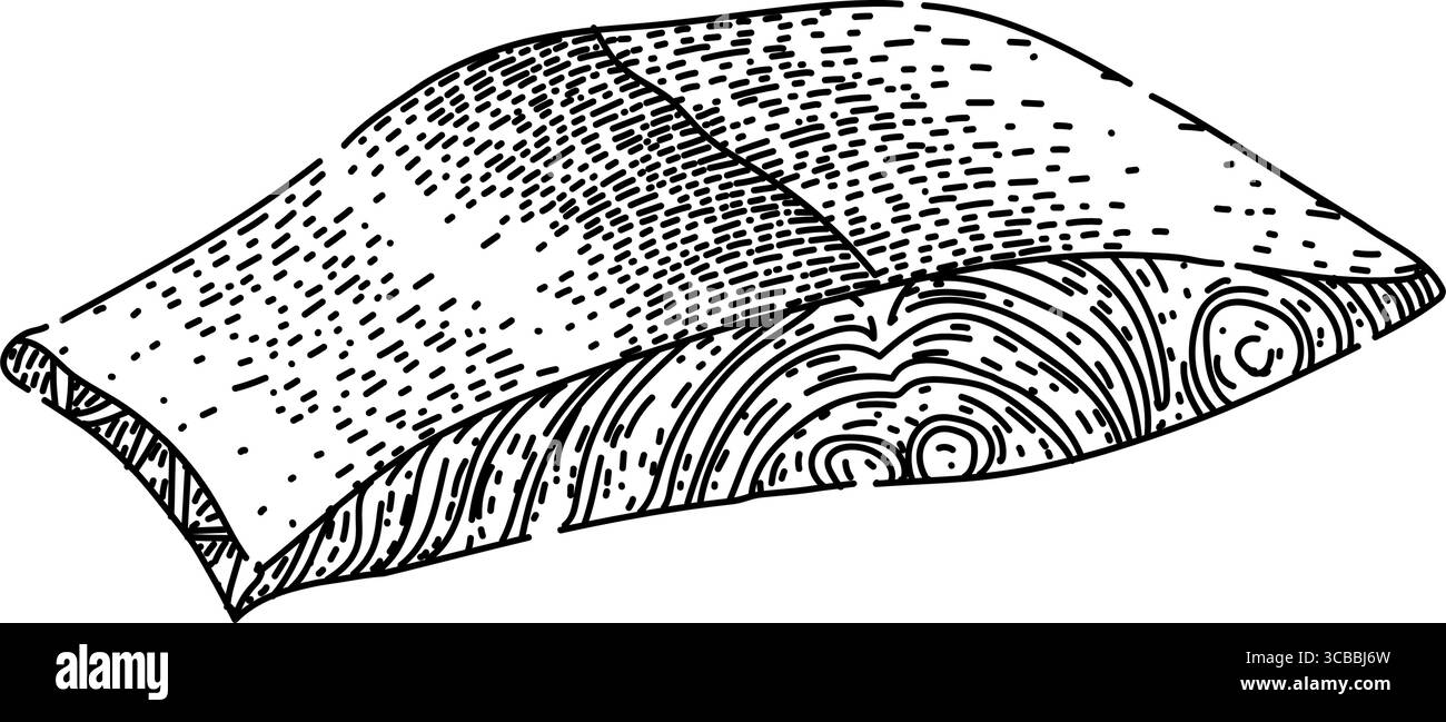 disegno del filetto di pesce disegnato a mano Illustrazione Vettoriale