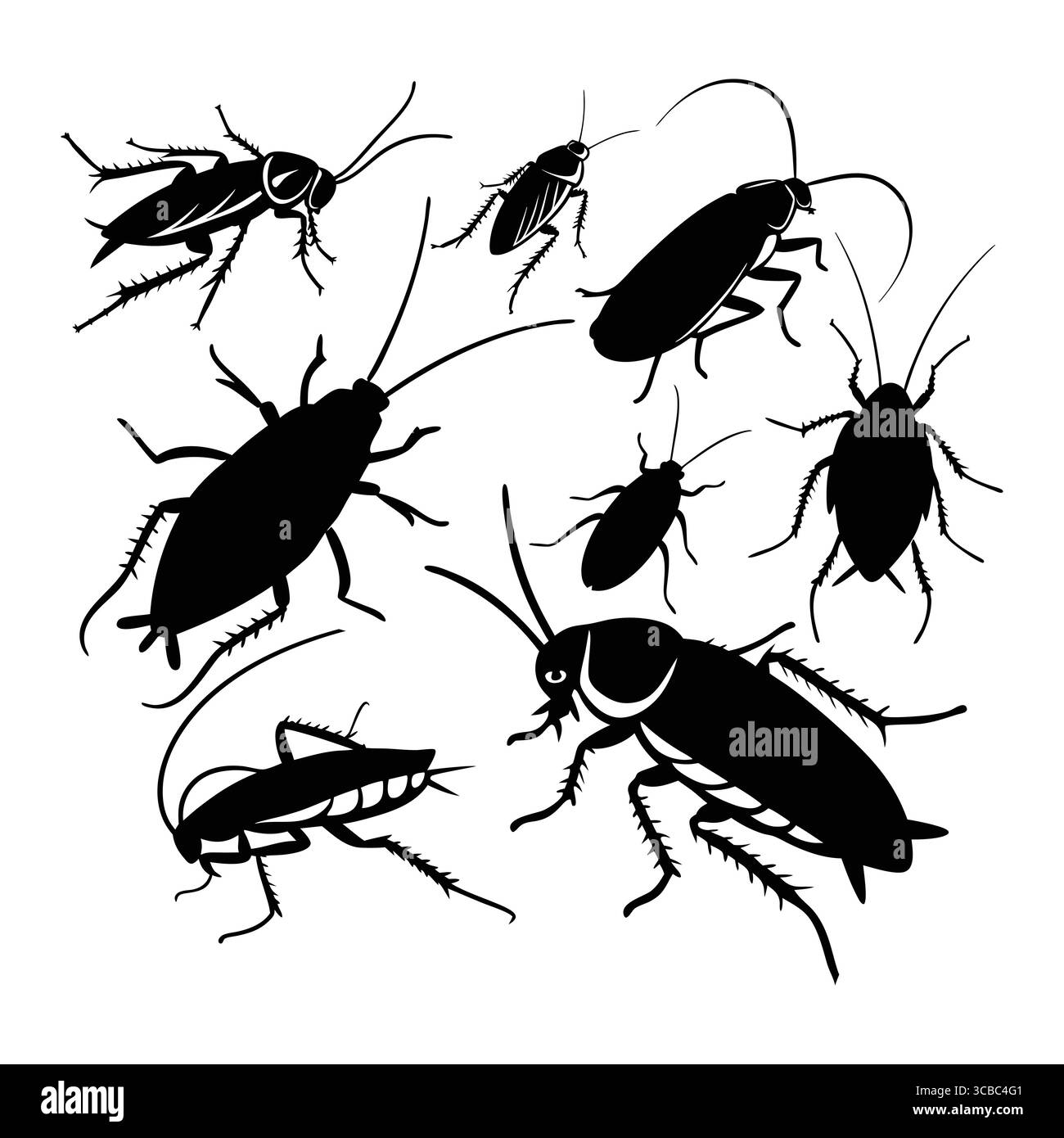 Illustrazione silhouette di scarafaggi in varie pose su sfondo bianco Illustrazione Vettoriale