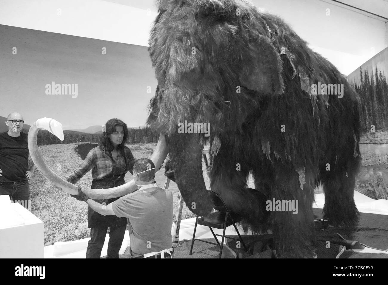 23 ottobre 2023, New York, NY, Stati Uniti: Wooly Mammoth installazione per la nuova mostra â€œThe Secret World of Elephantsâ€, American Museum of Natural History, NYC. 23 ottobre 2023. Foto di (Credit Image: © Sonia Moskowitz Gordon/ZUMA Press Wire) Foto Stock