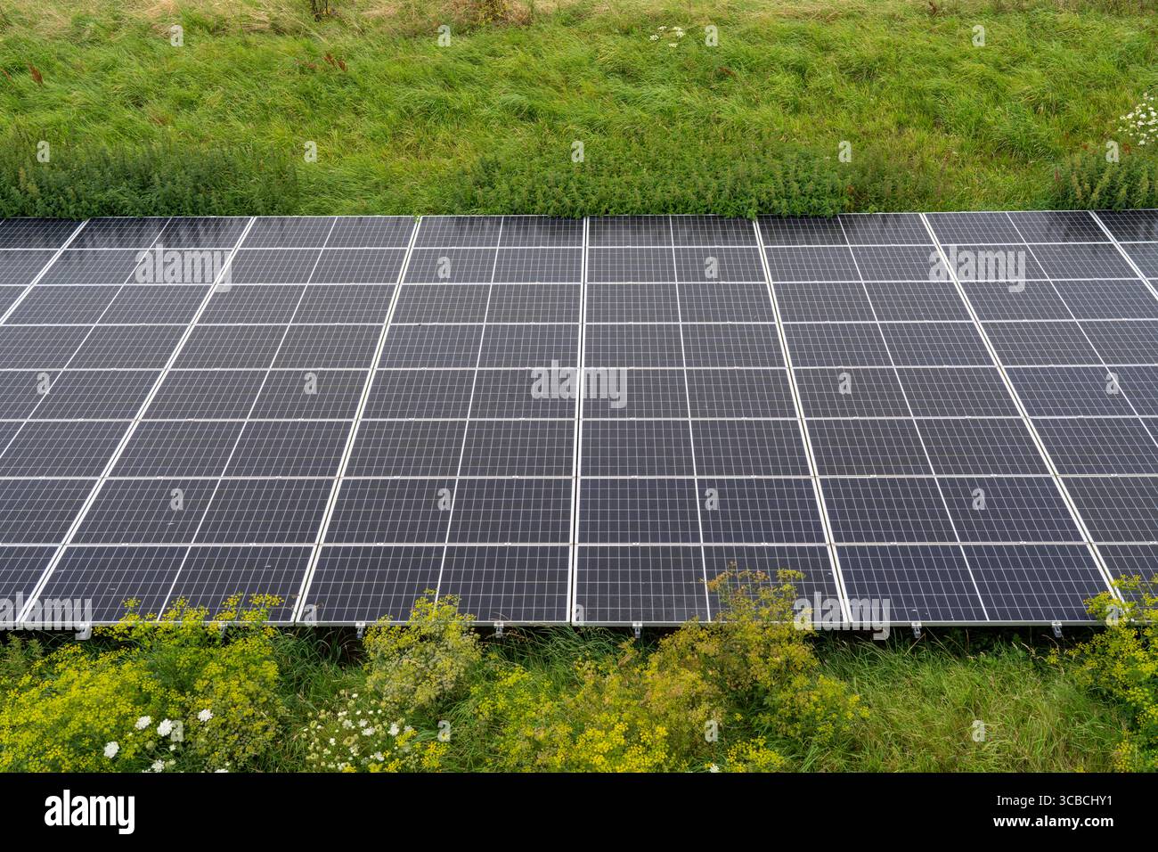 Solarpark am Slaperdijk Deich beim Eemshaven, Testprojekt, auf gut 5 KM wurden 17000 Solarmodule installiert, Die Niederlande haben über 22000 KM Deichlinie, hier wird erprobt, ob eine solche Montage erfolgreich ist und ausgebaut werden kann, Windpark, Niederinstalled lande, Solar Deich ***** il parco solare Deich lungo la 22.000 linea di 17.000 km di dishemshaven, nei pressi del parco solare. in questo caso si sta verificando se un tale impianto è riuscito e può essere ampliato, parco eolico, Paesi Bassi, diga solare Foto Stock