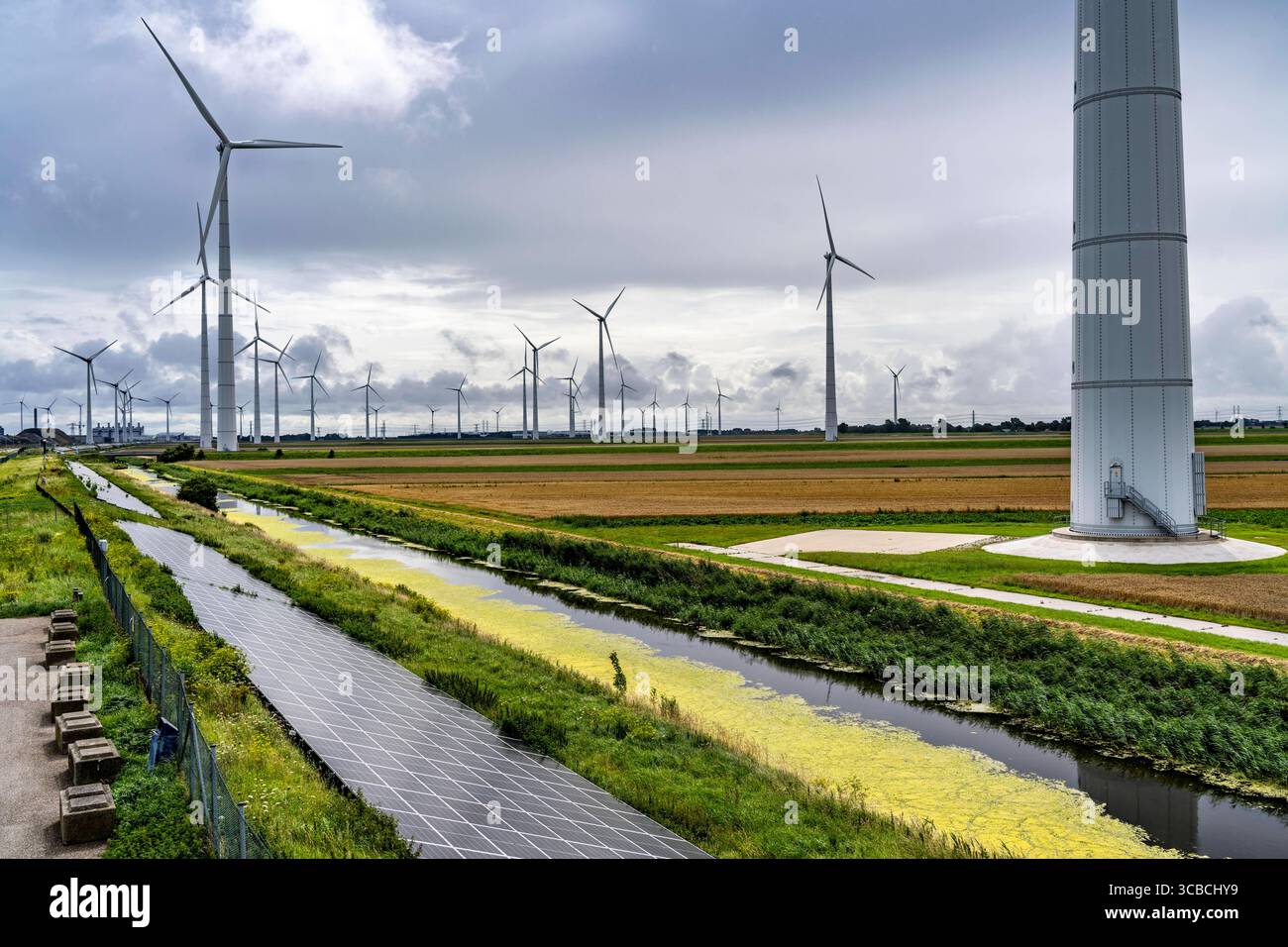 Solarpark am Slaperdijk Deich beim Eemshaven, Testprojekt, auf gut 5 KM wurden 17000 Solarmodule installiert, Die Niederlande haben über 22000 KM Deichlinie, hier wird erprobt, ob eine solche Montage erfolgreich ist und ausgebaut werden kann, Windpark, Niederinstalled lande, Solar Deich ***** il parco solare Deich lungo la 22.000 linea di 17.000 km di dishemshaven, nei pressi del parco solare. in questo caso si sta verificando se un tale impianto è riuscito e può essere ampliato, parco eolico, Paesi Bassi, diga solare Foto Stock