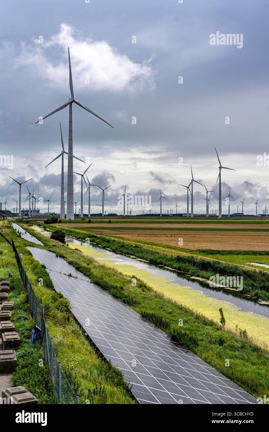 Solarpark am Slaperdijk Deich beim Eemshaven, Testprojekt, auf gut 5 KM wurden 17000 Solarmodule installiert, Die Niederlande haben über 22000 KM Deichlinie, hier wird erprobt, ob eine solche Montage erfolgreich ist und ausgebaut werden kann, Windpark, Niederinstalled lande, Solar Deich ***** il parco solare Deich lungo la 22.000 linea di 17.000 km di dishemshaven, nei pressi del parco solare. in questo caso si sta verificando se un tale impianto è riuscito e può essere ampliato, parco eolico, Paesi Bassi, diga solare Foto Stock