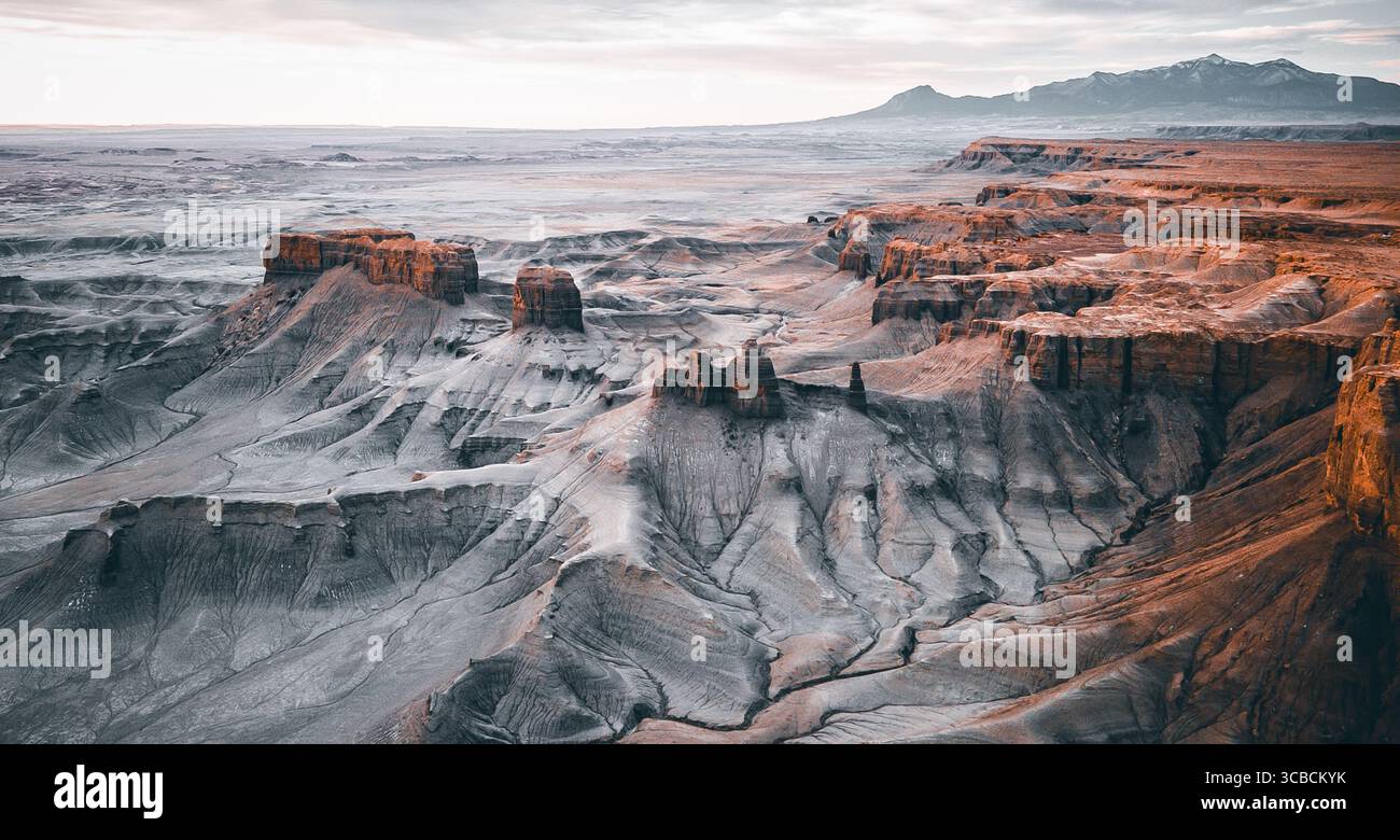 Vista dei canyon del deserto Foto Stock