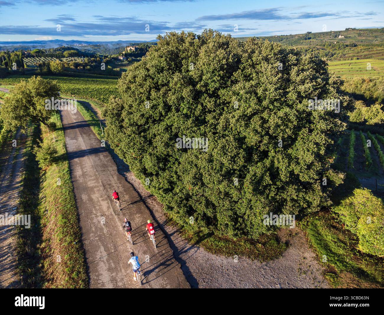 Gara ciclistica nel Chianti Foto Stock