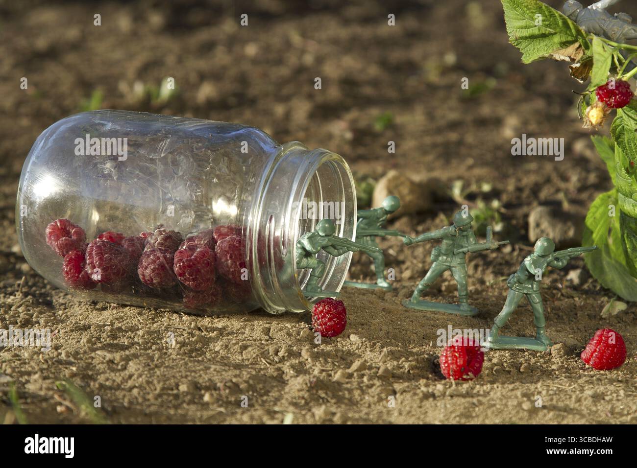 Quattro soldati giocattolo verdi che proteggono un barattolo di lampone contro un soldato grigio Foto Stock