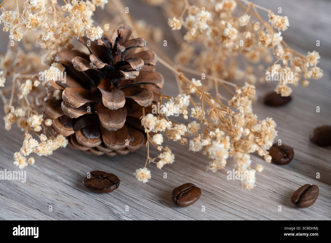 Un singolo cono di pino con chicchi di caffè e fiori secchi su una superficie in legno intemprata, che mette in risalto le consistenze naturali, gli accenti aromatici del caffè e l'eart Foto Stock