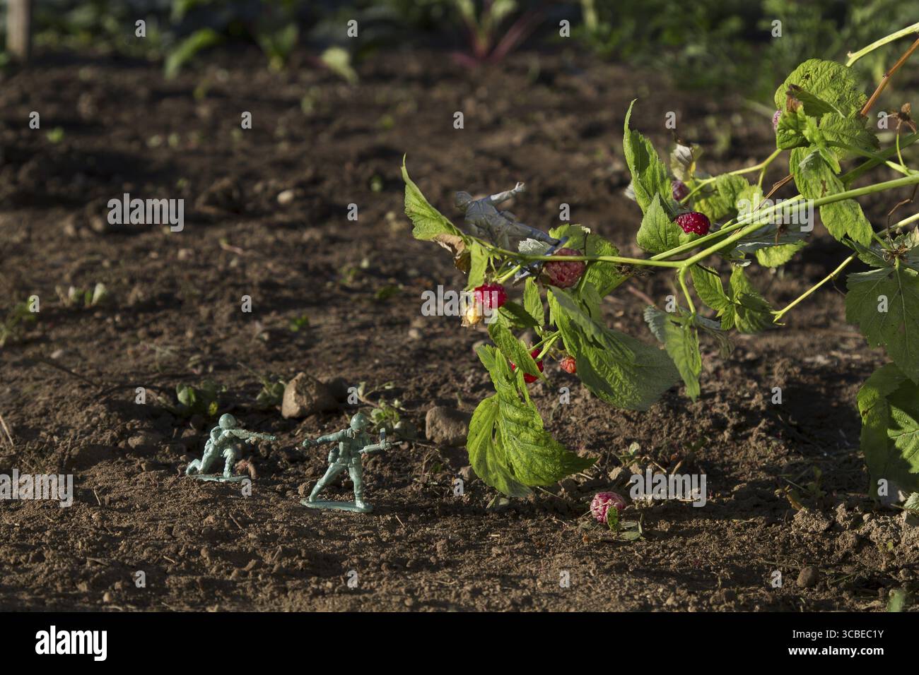 Due soldato giocattolo verde che combattono con un soldato grigio per il lampone Foto Stock