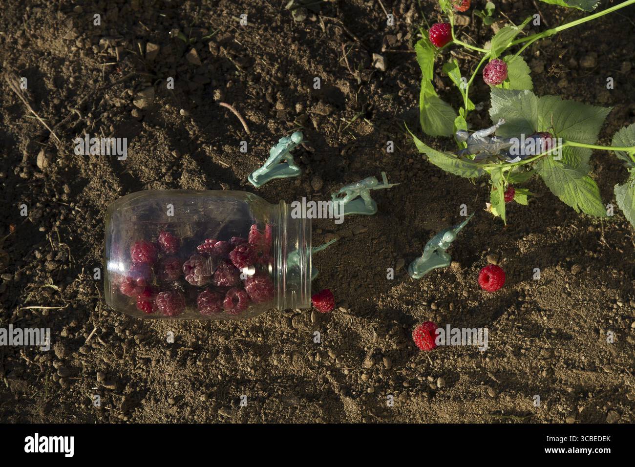 Vista aerea di quattro soldati giocattolo verdi che proteggono un vaso di lampone contro un soldato grigio Foto Stock