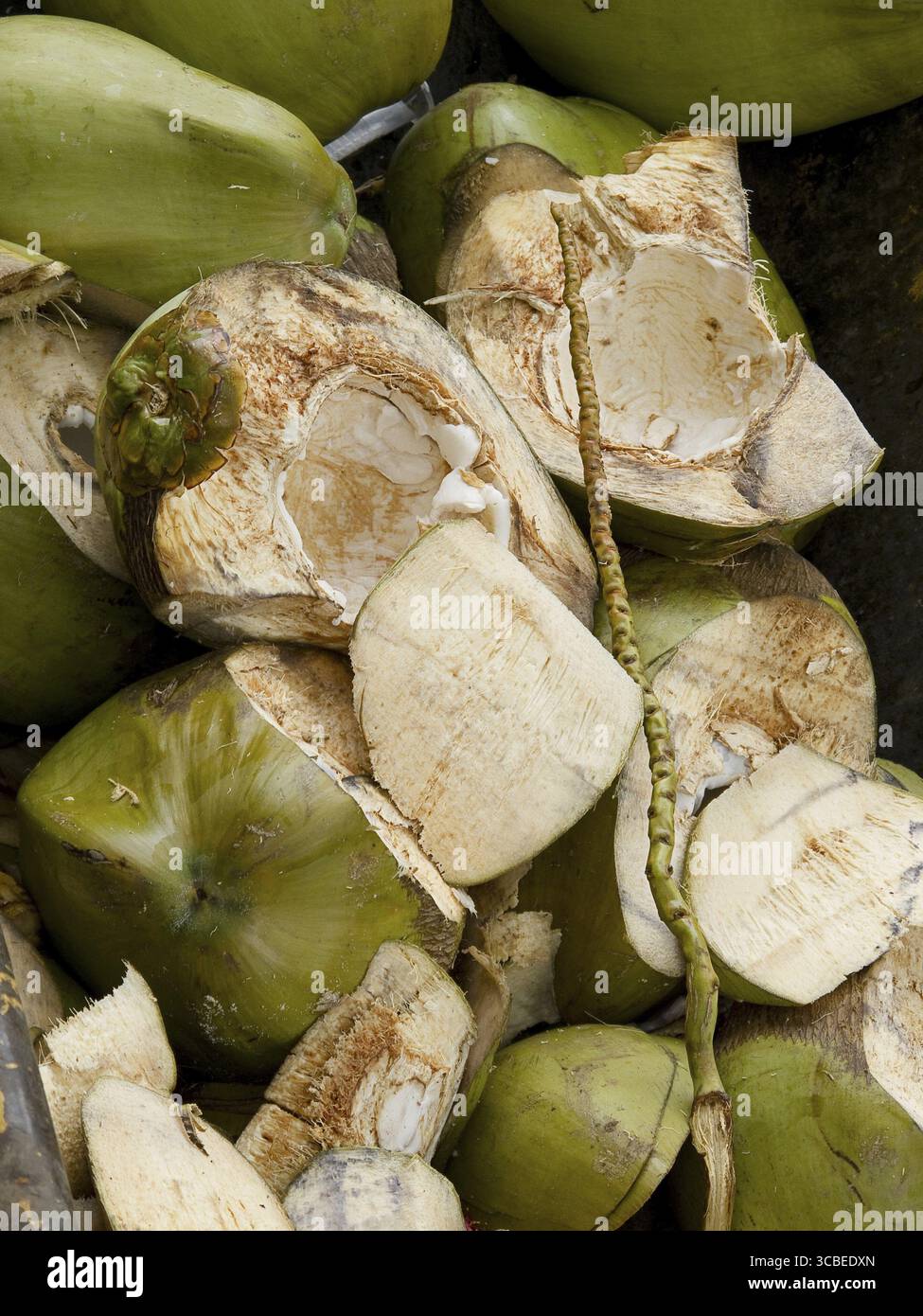 Pezzi di guscio di cocco verde rotto Foto Stock