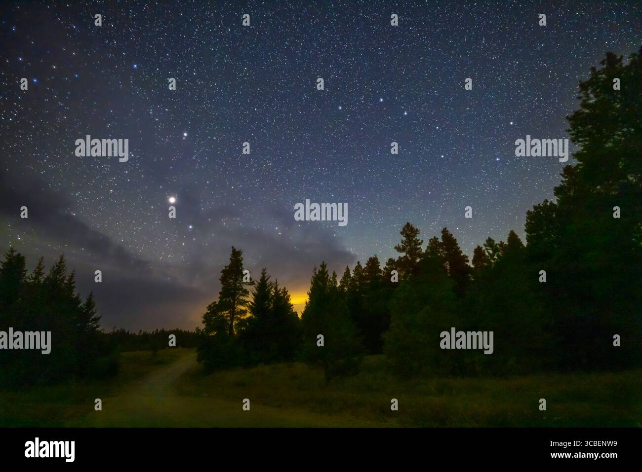 25 agosto 2022, Alberta, Canada: The Big Dipper and Arcturus over a Treed nightscape in the Cypress Hills, Saskatchewan. Preso durante l'annuale Saskatchewan Summer Star Party alla fine di agosto 2022. Il Cypress Hills Interprovincial Park è un Dark Sky Preserve... si tratta di una singola esposizione non tracciata di 30 secondi per il cielo e di una pila di quattro esposizioni di 30 secondi per il terreno, il tutto con l'obiettivo RF15-35mm a 19mm e f/2,8 e Canon R5 a ISO 3200. NoiseXTerminator veniva utilizzato per ridurre il rumore nel cielo, ON1 NoNoise ai applicato al suolo. E un effetto bagliore aggiunto con l'intelligenza artificiale Luminar. (Credito immag Foto Stock