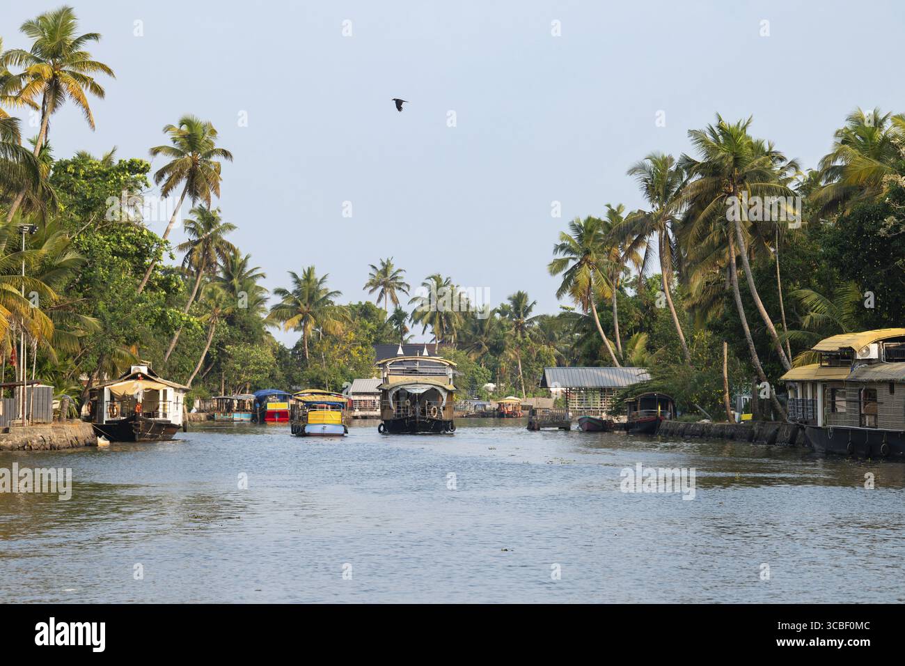 Acque secondarie di Alleppey in India, case galleggianti di Alappuzha sul canale navigabile, piccolo canale del Mare di Laccadive, terra Tarshish del Kerala, corpo d'acqua sereno Foto Stock