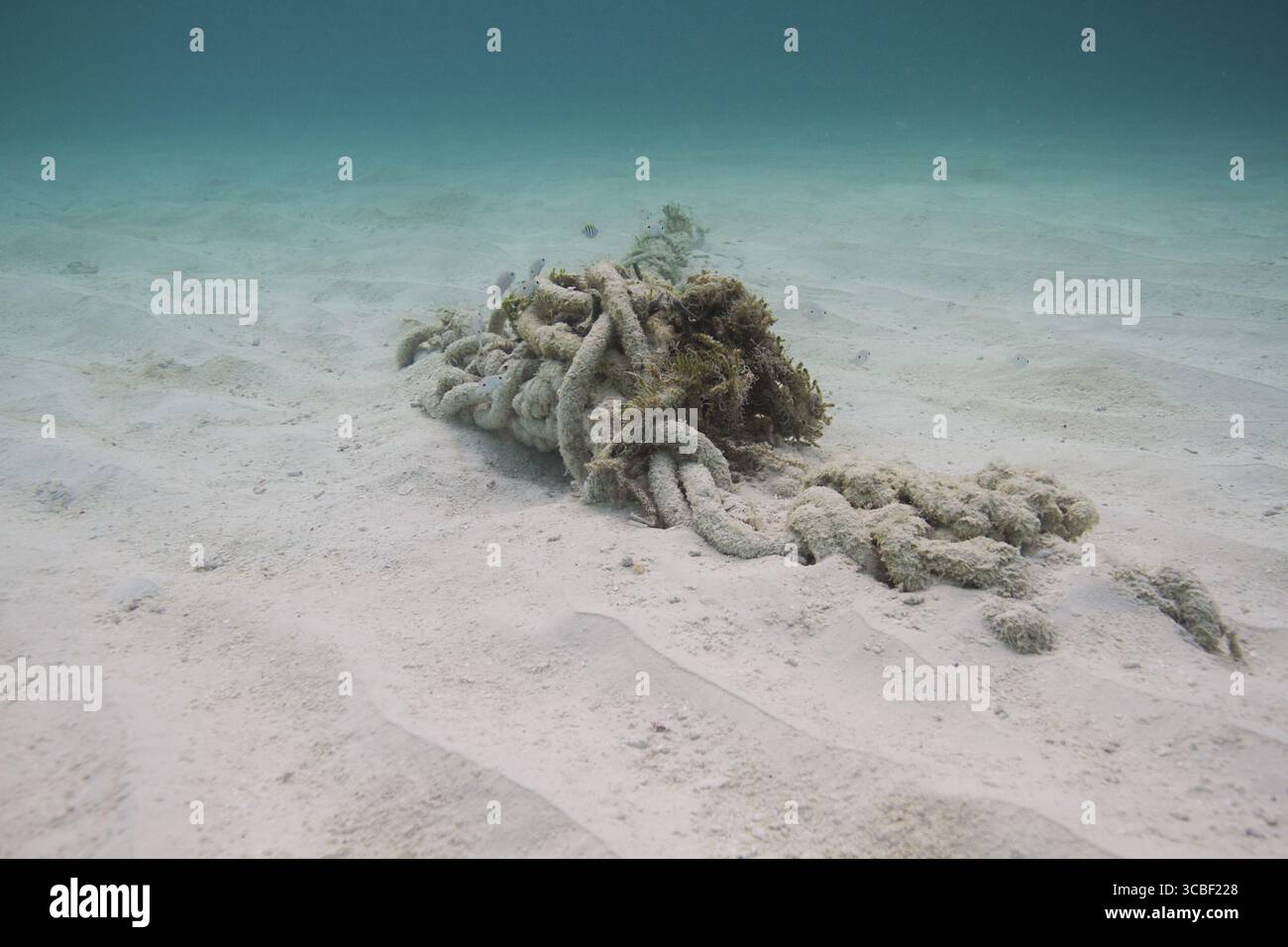 Catene per ancorare una barca sul fondo dell'oceano Foto Stock