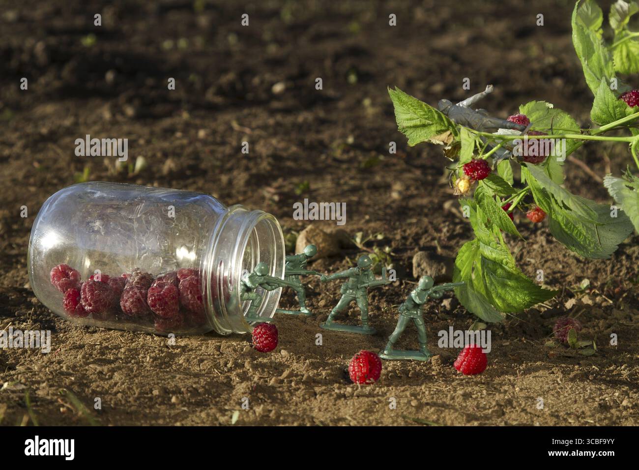 Quattro soldati giocattolo verdi che proteggono un barattolo di lampone contro un soldato grigio Foto Stock