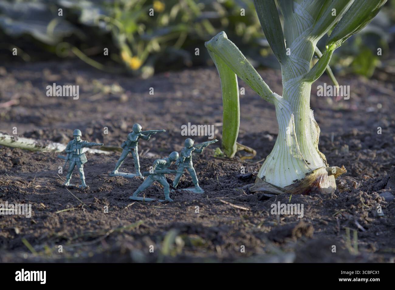 Soldato giocattolo dell'esercito verde che attacca una cipolla nel giardino Foto Stock